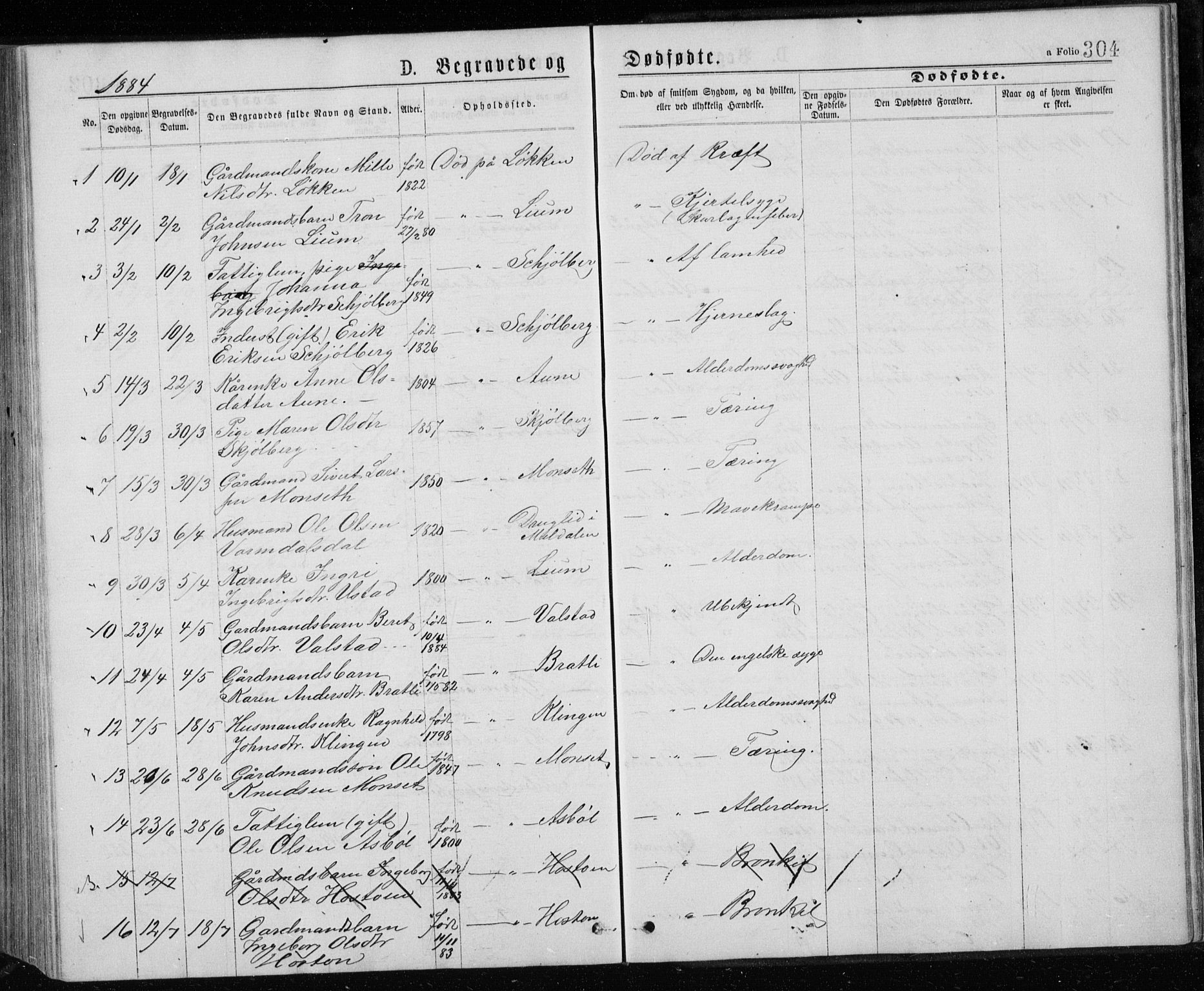 Ministerialprotokoller, klokkerbøker og fødselsregistre - Sør-Trøndelag, SAT/A-1456/671/L0843: Parish register (copy) no. 671C02, 1873-1892, p. 304