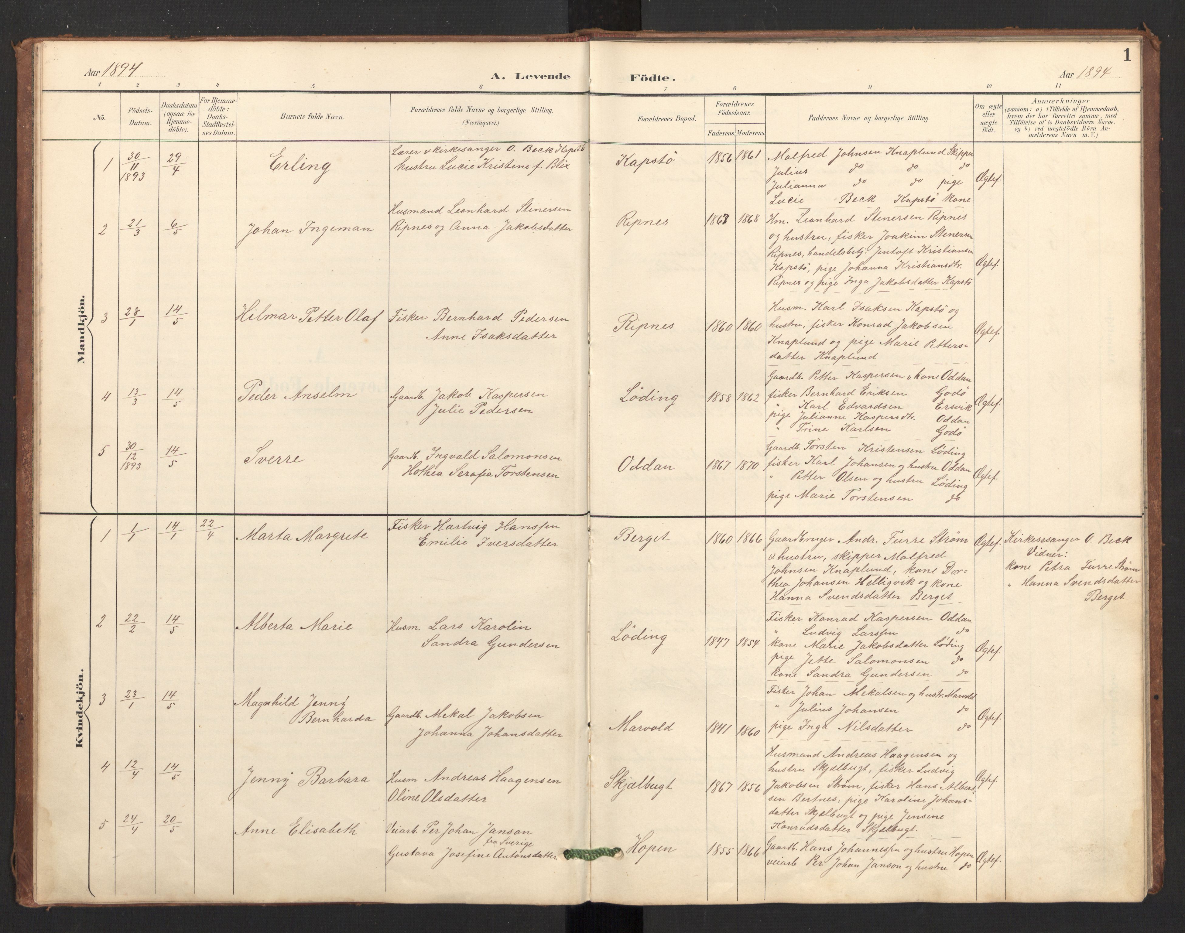 Ministerialprotokoller, klokkerbøker og fødselsregistre - Nordland, SAT/A-1459/804/L0087: Parish register (official) no. 804A08, 1894-1907, p. 1