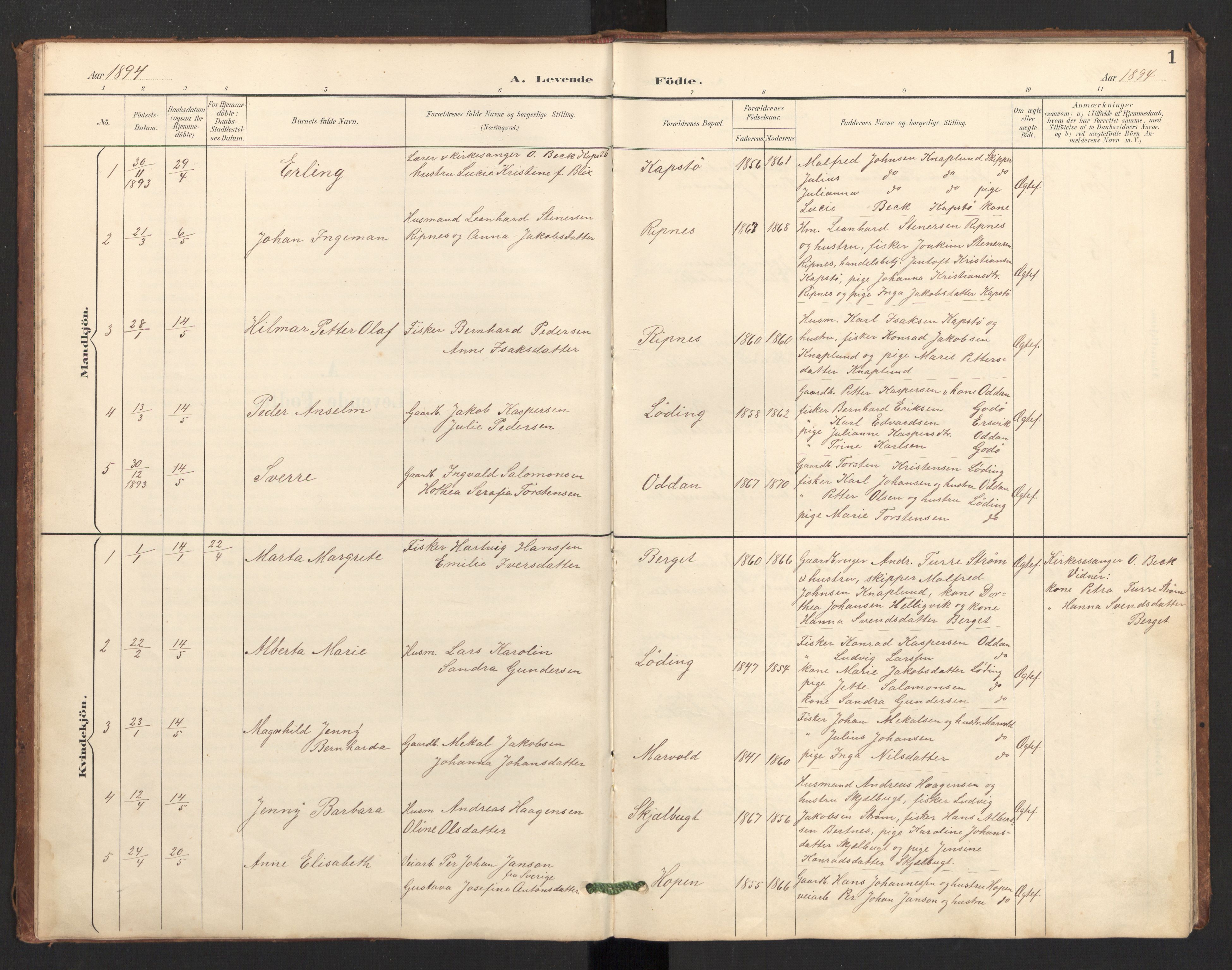 Ministerialprotokoller, klokkerbøker og fødselsregistre - Nordland, AV/SAT-A-1459/804/L0087: Parish register (official) no. 804A08, 1894-1907, p. 1