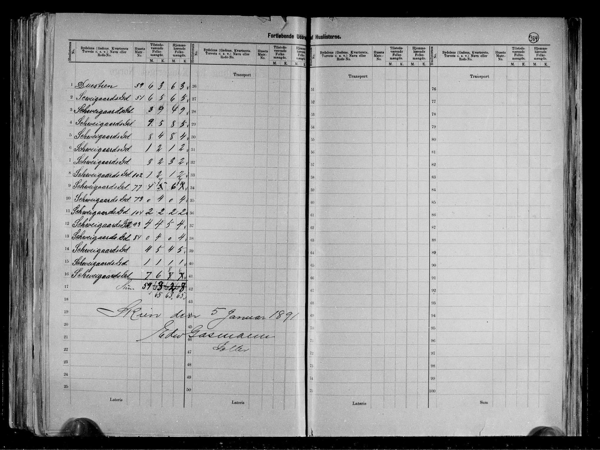 RA, 1891 census for 0806 Skien, 1891, p. 22