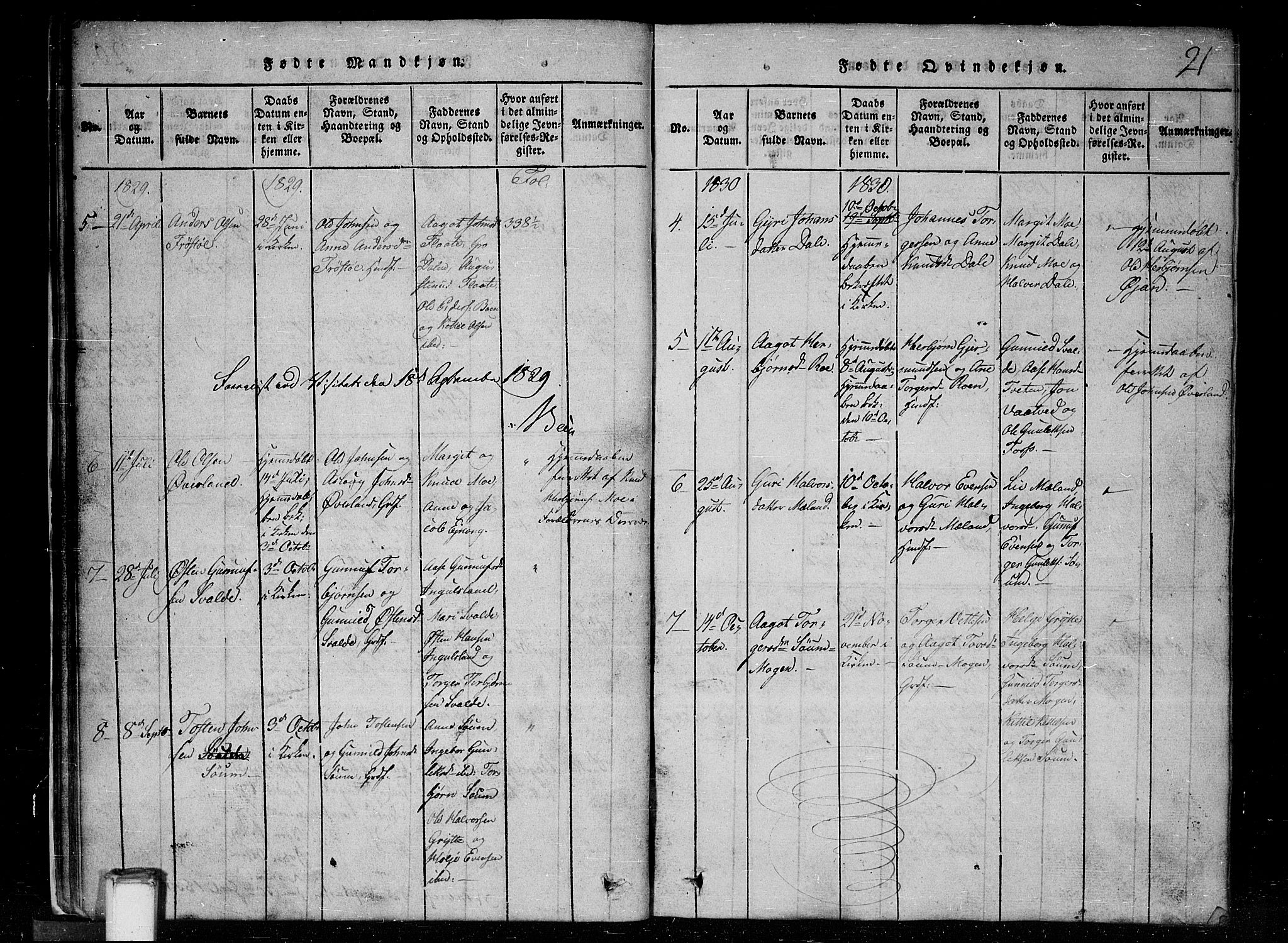 Tinn kirkebøker, SAKO/A-308/G/Gc/L0001: Parish register (copy) no. III 1, 1815-1879, p. 21