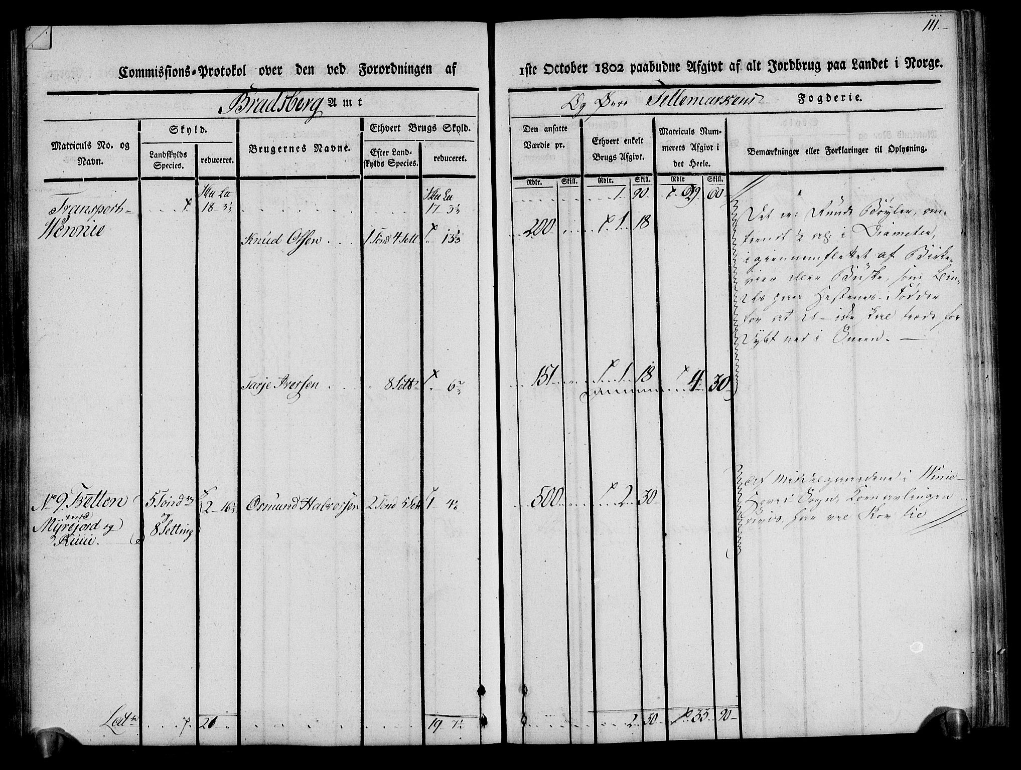 Rentekammeret inntil 1814, Realistisk ordnet avdeling, AV/RA-EA-4070/N/Ne/Nea/L0075: Øvre Telemarken fogderi. Kommisjonsprotokoll for fogderiets vestre del - Kviteseid, Vinje, Moland [):Fyresdal] og Lårdal prestegjeld., 1803, p. 111