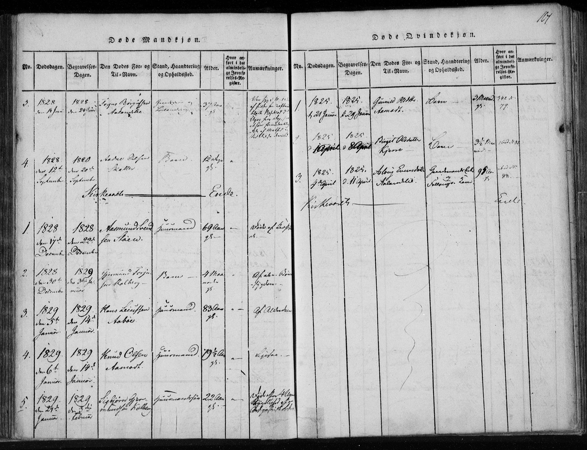 Lårdal kirkebøker, AV/SAKO-A-284/F/Fa/L0005: Parish register (official) no. I 5, 1815-1860, p. 101