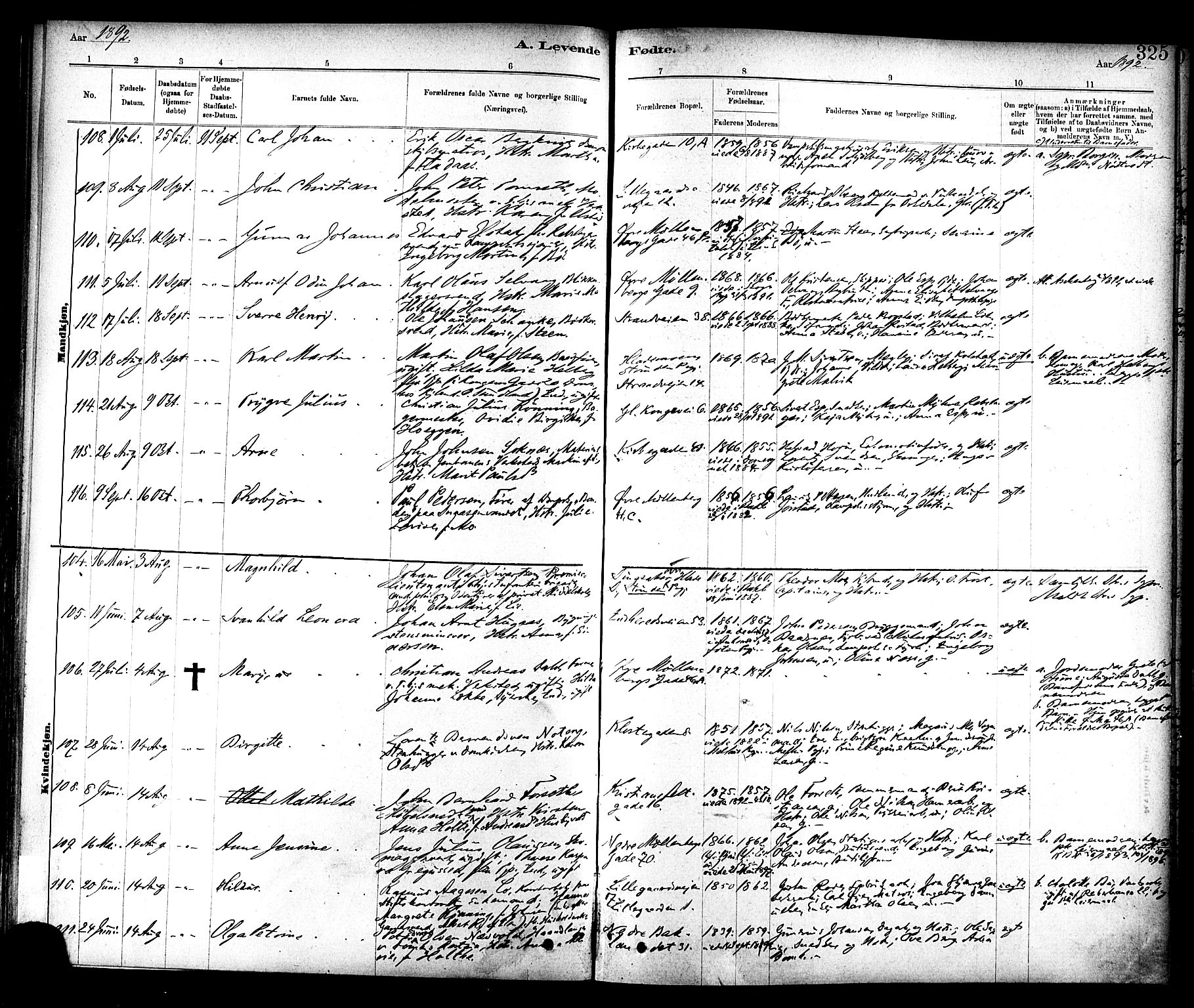 Ministerialprotokoller, klokkerbøker og fødselsregistre - Sør-Trøndelag, AV/SAT-A-1456/604/L0188: Parish register (official) no. 604A09, 1878-1892, p. 325