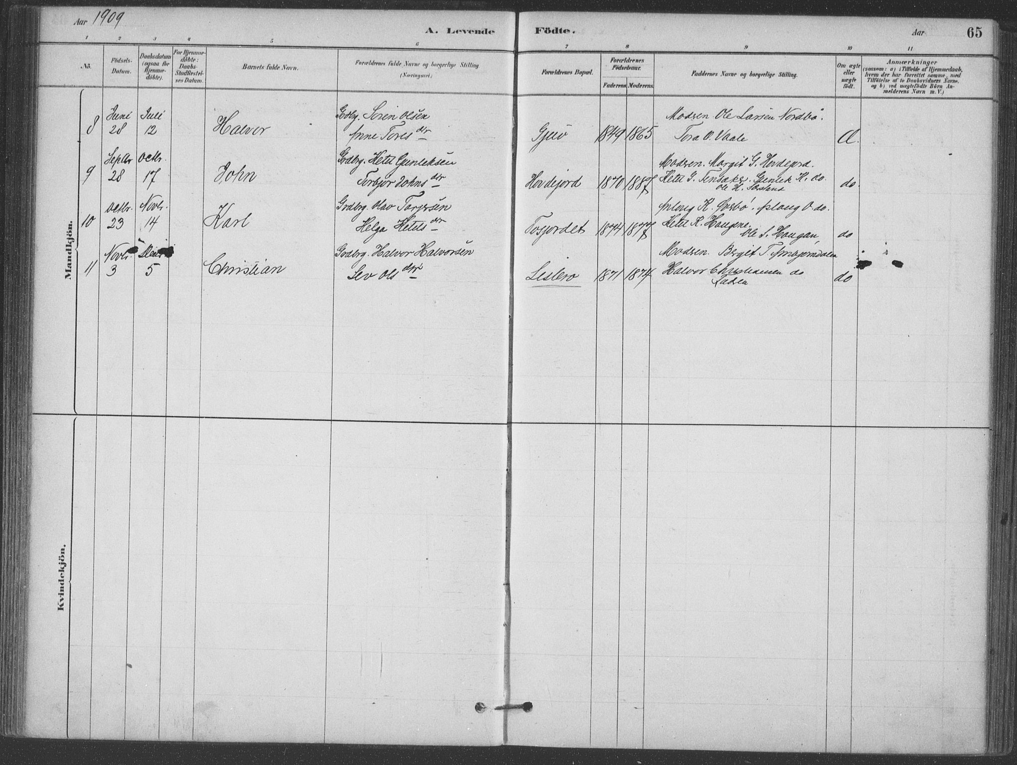 Hjartdal kirkebøker, AV/SAKO-A-270/F/Fa/L0010: Parish register (official) no. I 10, 1880-1929, p. 65