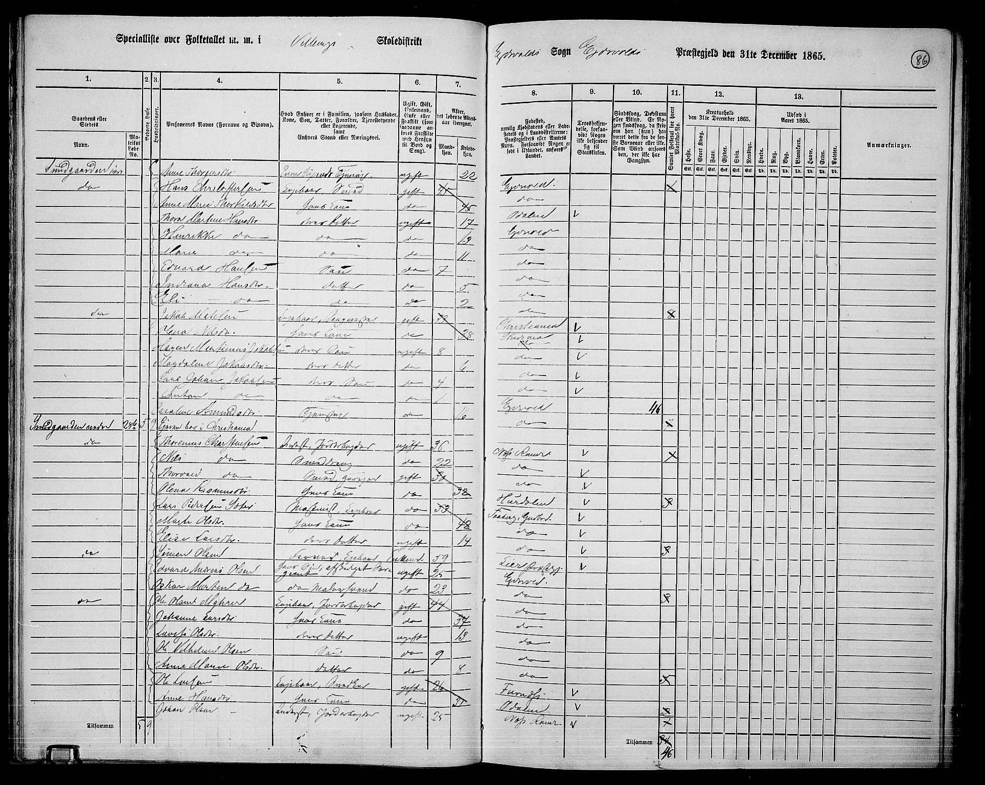 RA, 1865 census for Eidsvoll, 1865, p. 74