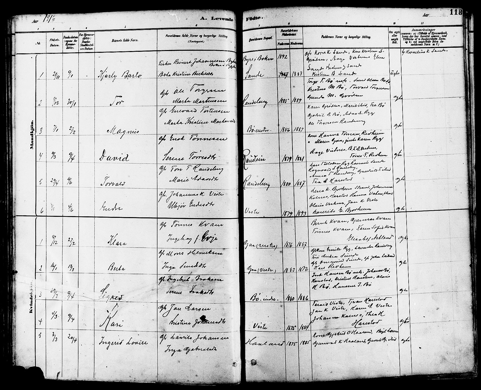 Hetland sokneprestkontor, SAST/A-101826/30/30BB/L0006: Parish register (copy) no. B 6, 1878-1921, p. 118