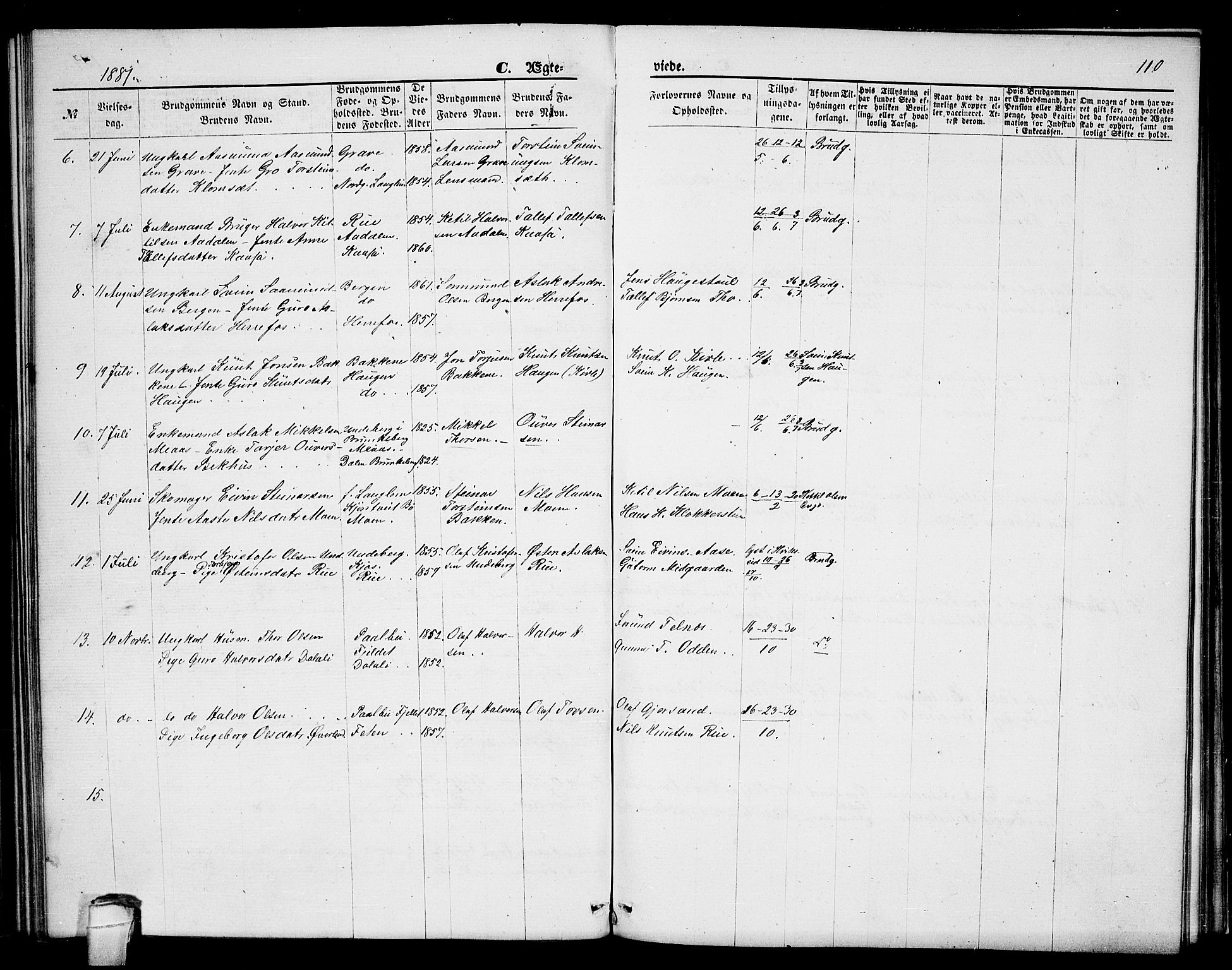 Seljord kirkebøker, SAKO/A-20/G/Ga/L0004: Parish register (copy) no. I 4, 1873-1886, p. 110