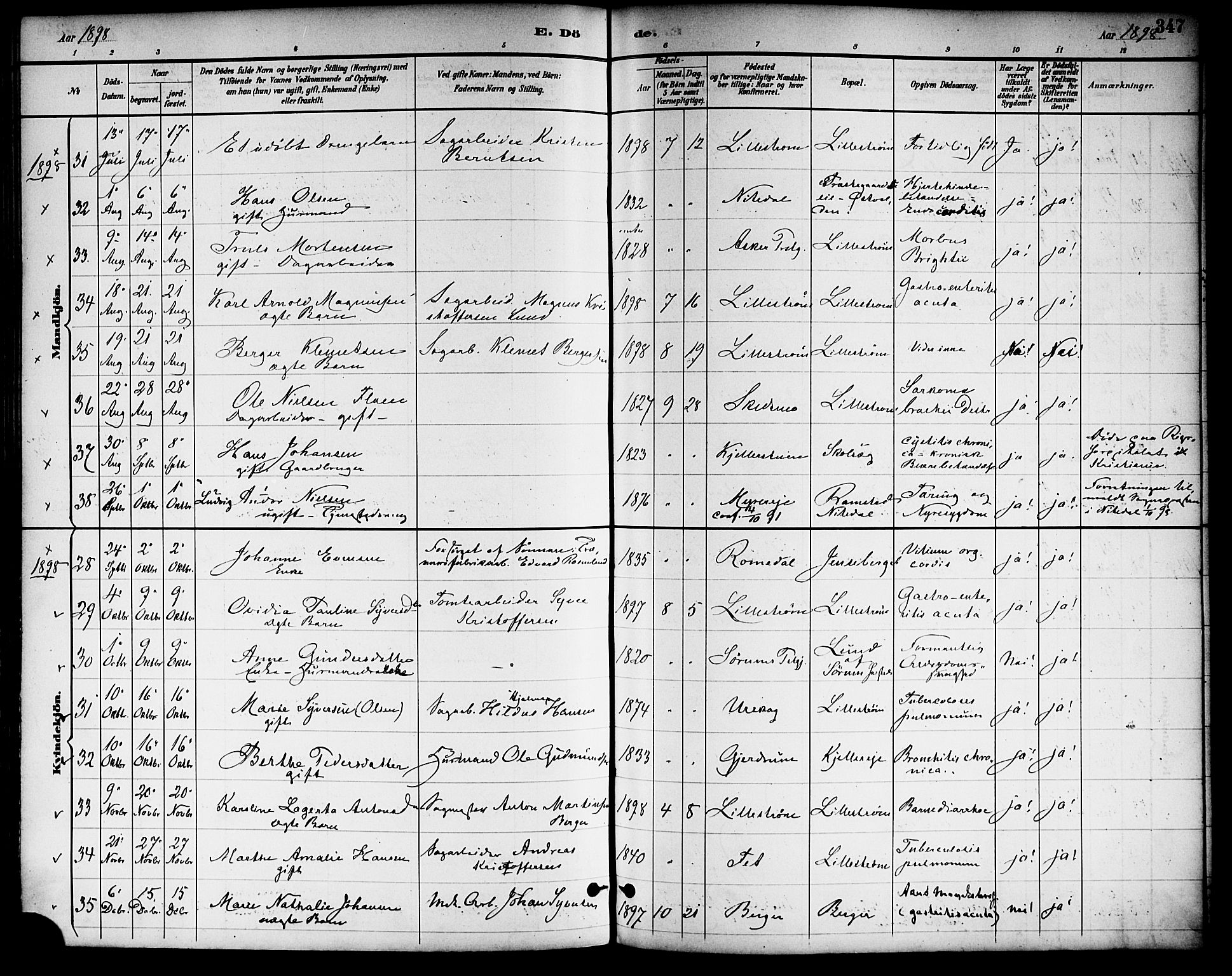 Skedsmo prestekontor Kirkebøker, SAO/A-10033a/F/Fa/L0014: Parish register (official) no. I 14, 1892-1901, p. 347