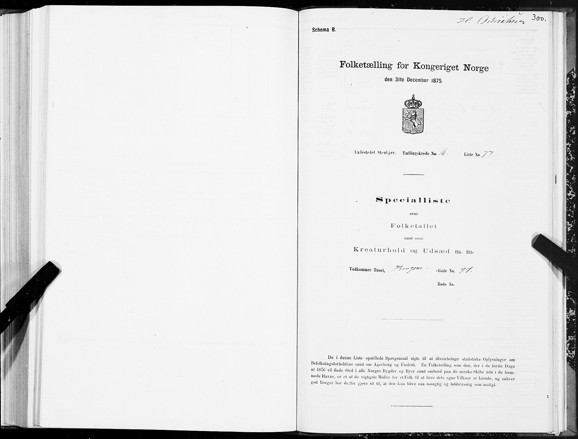 SAT, 1875 census for 1702B Steinkjer/Steinkjer, 1875, p. 300