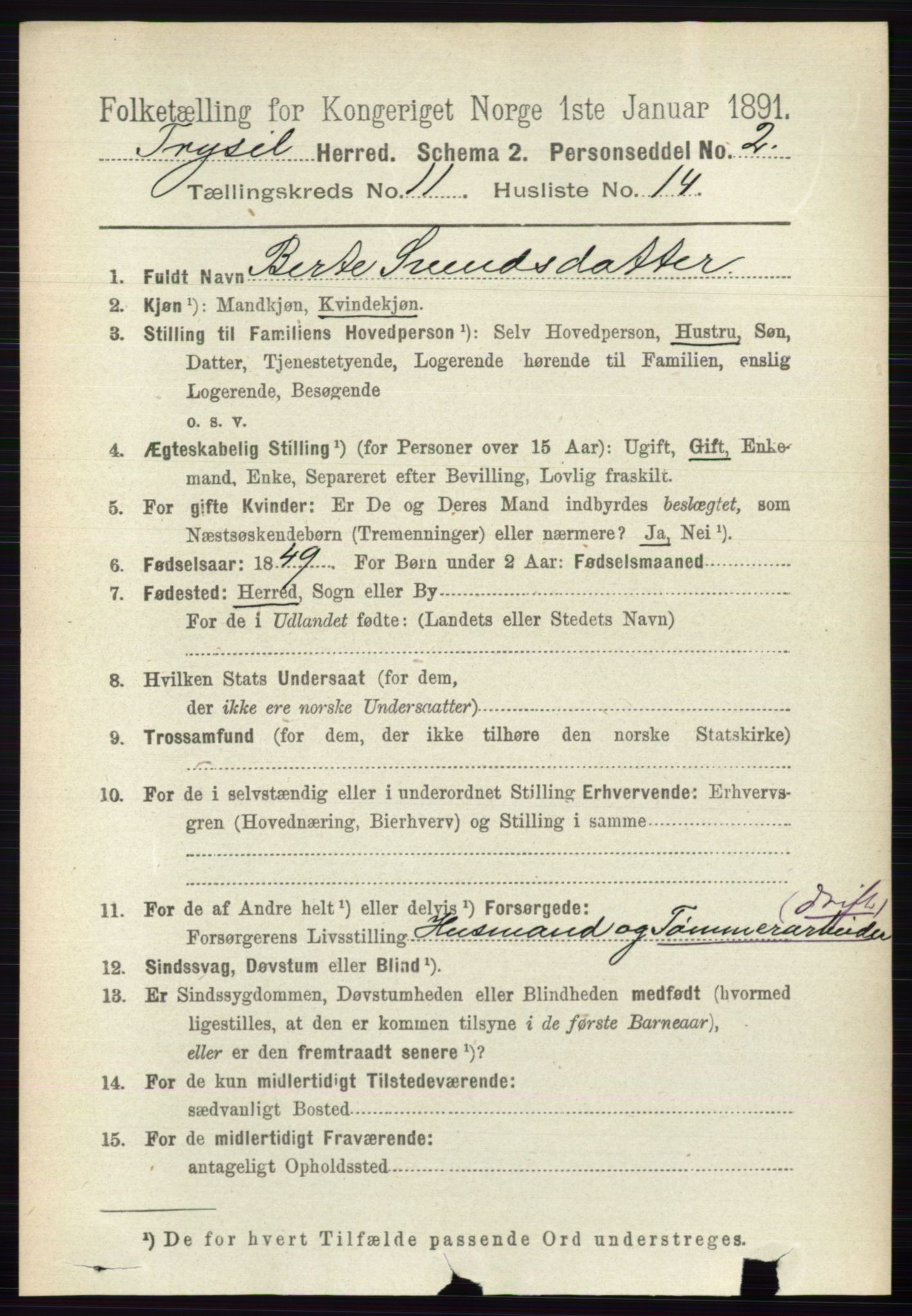 RA, 1891 census for 0428 Trysil, 1891, p. 5606