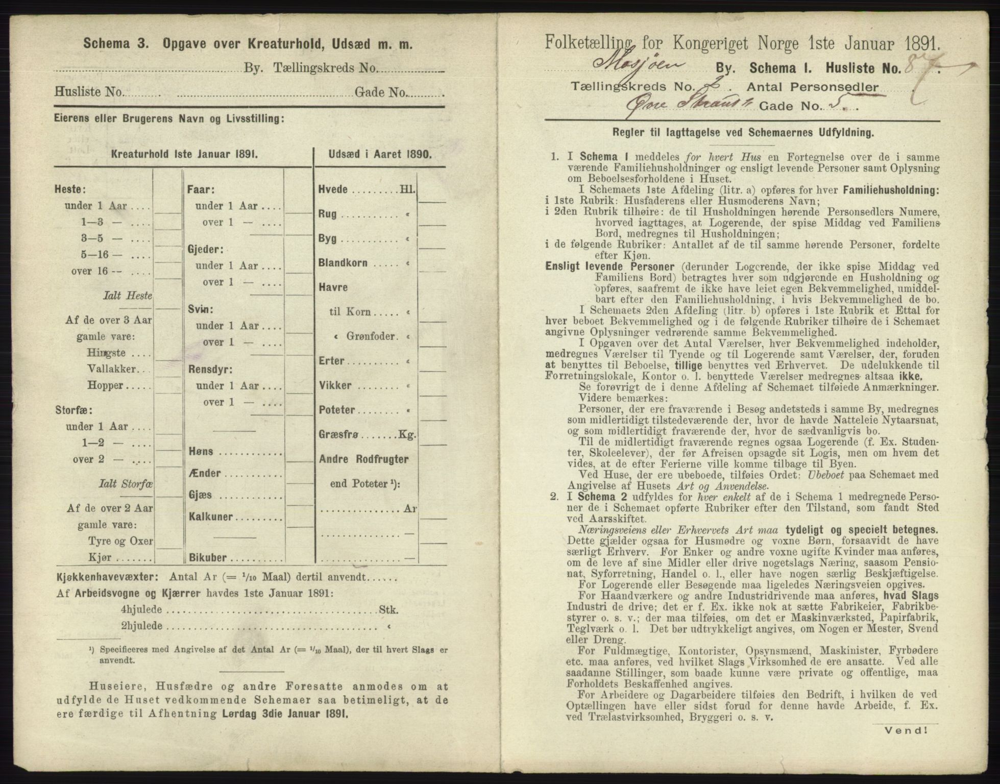 RA, 1891 census for 1802 Mosjøen, 1891, p. 747