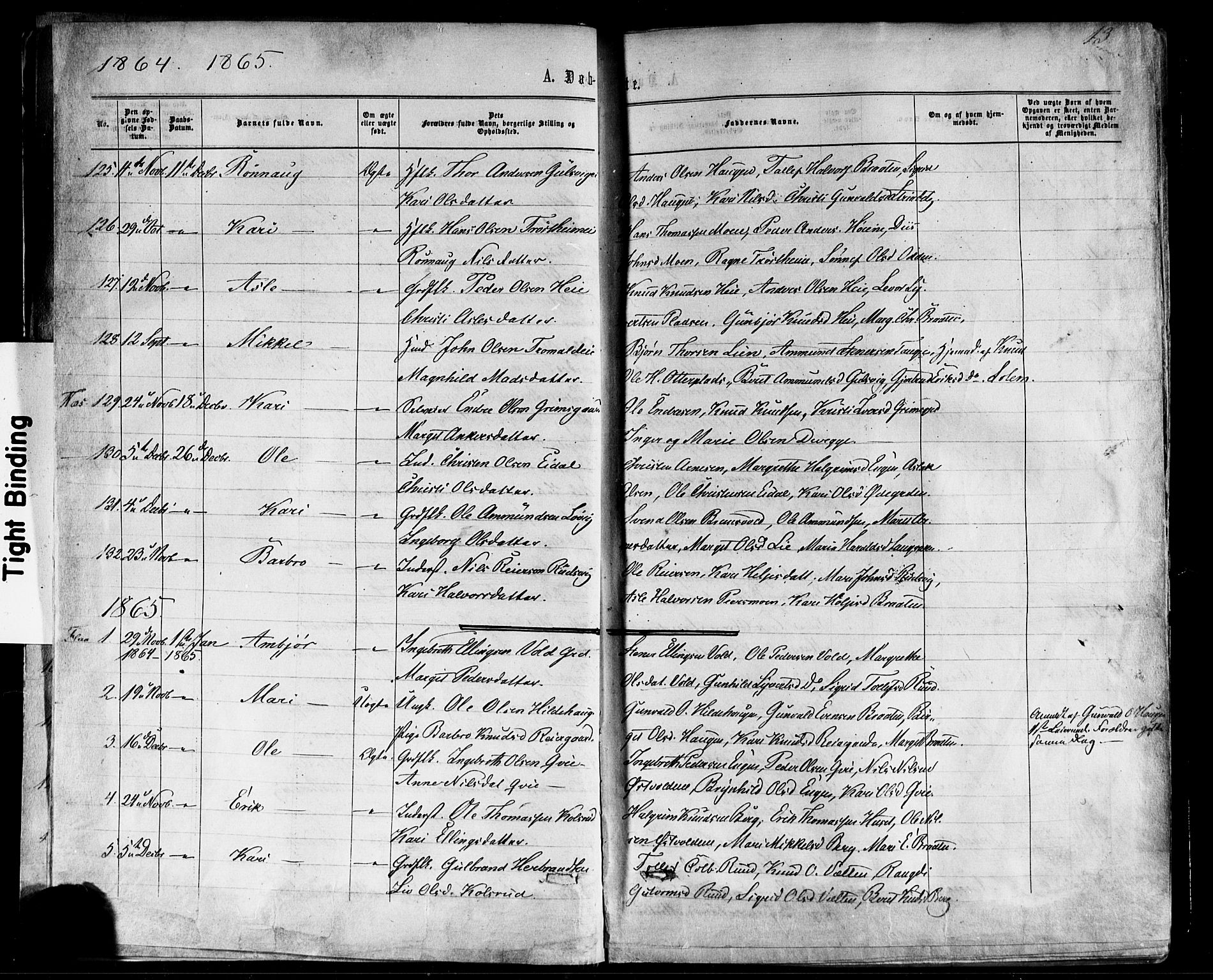 Nes kirkebøker, SAKO/A-236/F/Fa/L0010: Parish register (official) no. 10, 1864-1880, p. 13