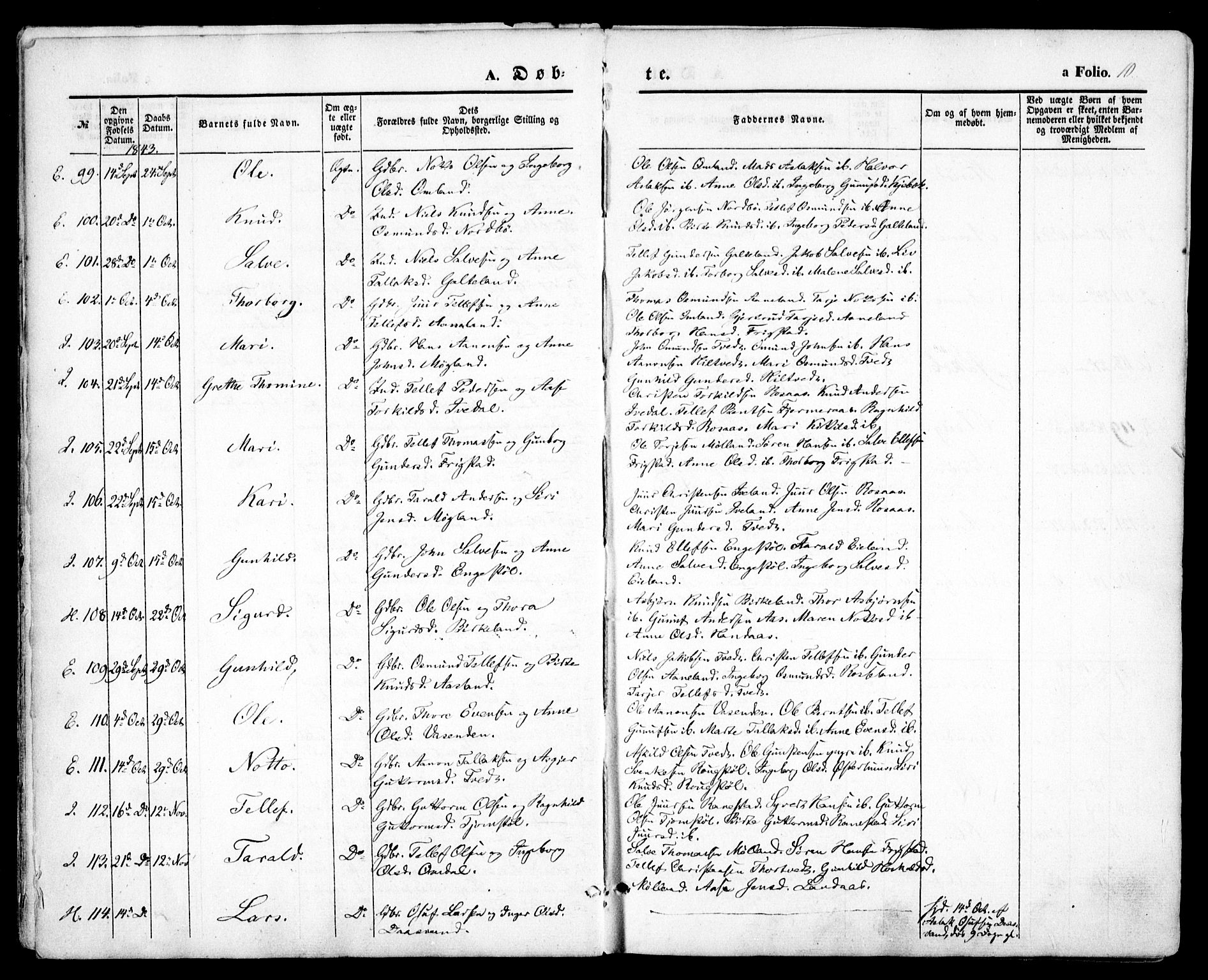 Evje sokneprestkontor, AV/SAK-1111-0008/F/Fa/Faa/L0005: Parish register (official) no. A 5, 1843-1865, p. 10