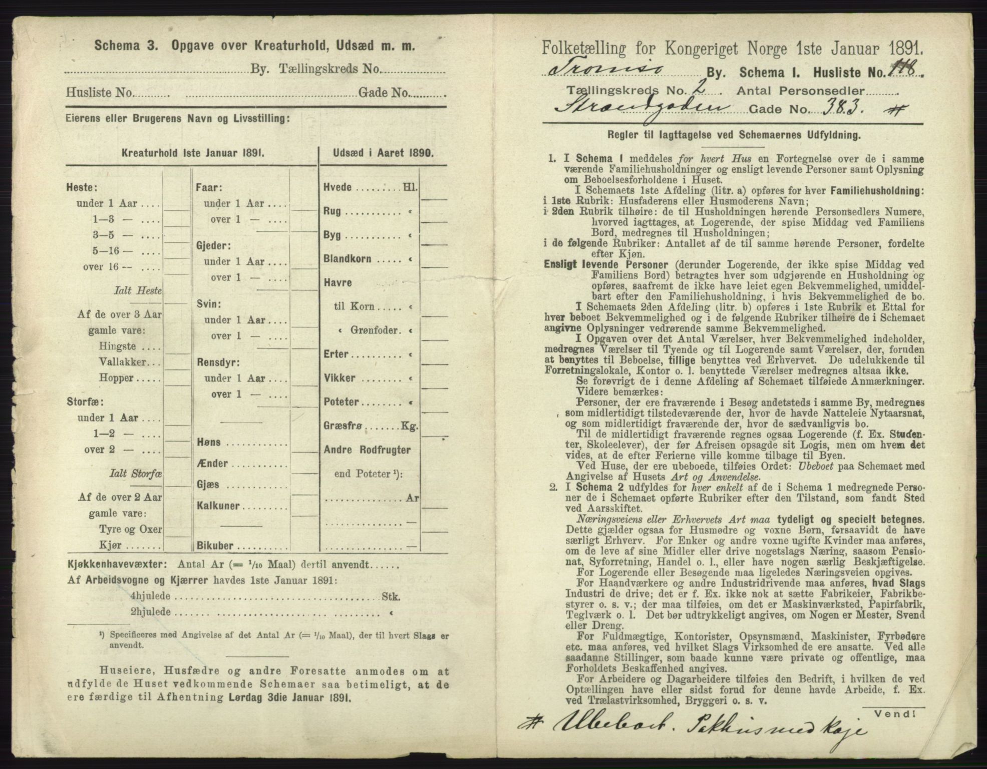 RA, 1891 census for 1902 Tromsø, 1891, p. 1817