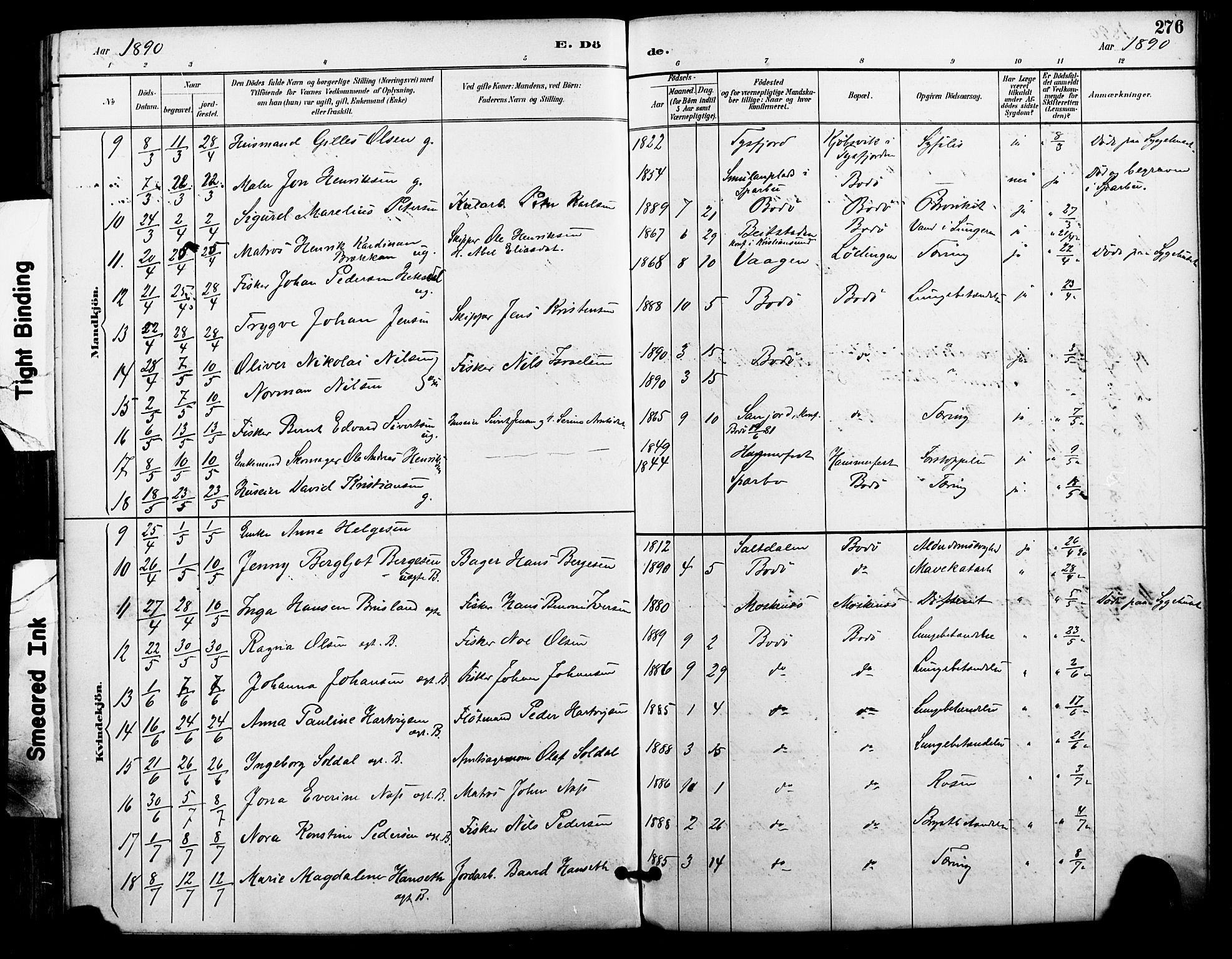 Ministerialprotokoller, klokkerbøker og fødselsregistre - Nordland, AV/SAT-A-1459/801/L0010: Parish register (official) no. 801A10, 1888-1899, p. 276