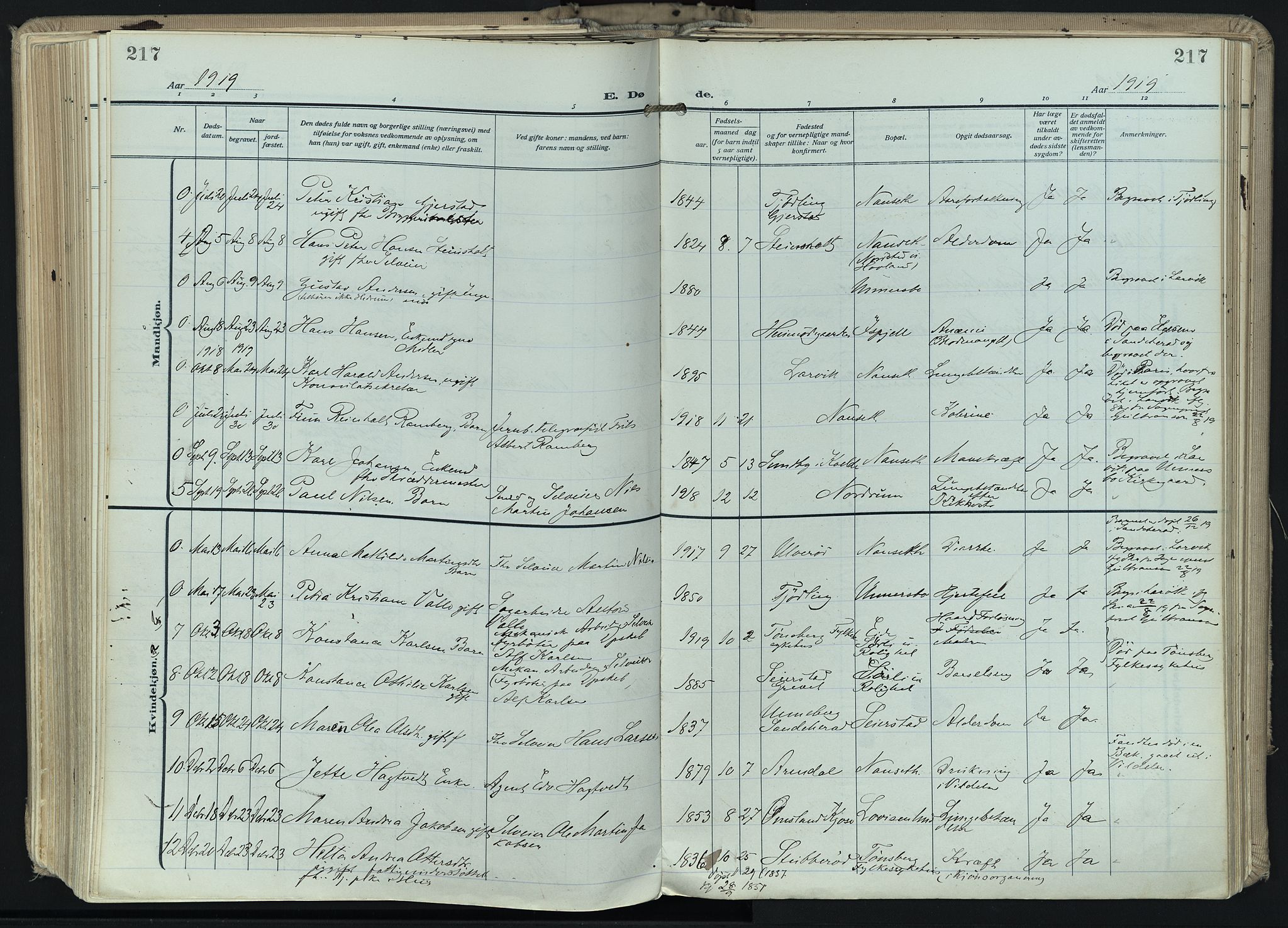 Hedrum kirkebøker, AV/SAKO-A-344/F/Fa/L0011: Parish register (official) no. I 11, 1919-1933, p. 217