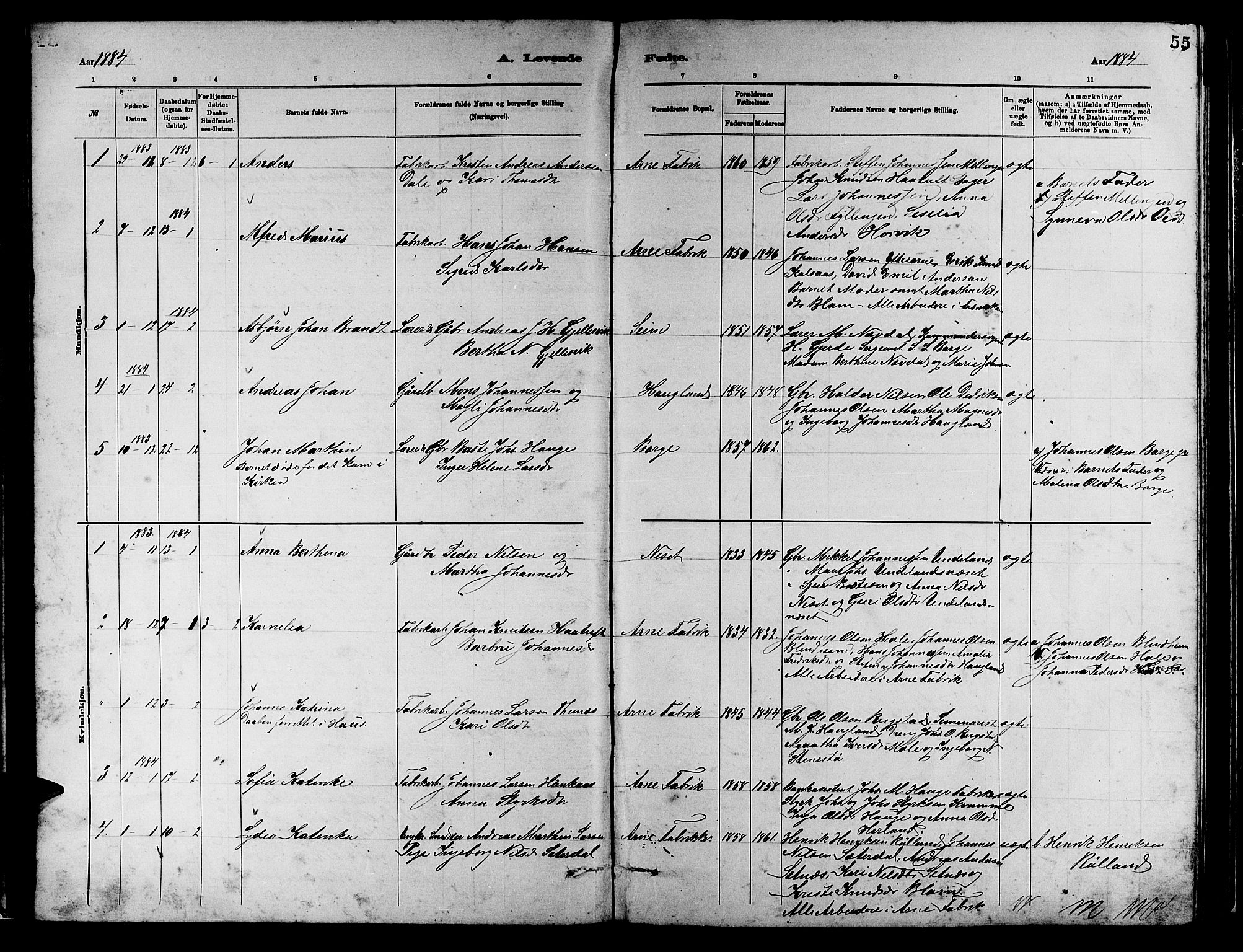 Arna Sokneprestembete, SAB/A-74001/H/Ha/Hab: Parish register (copy) no. A 2, 1878-1887, p. 55