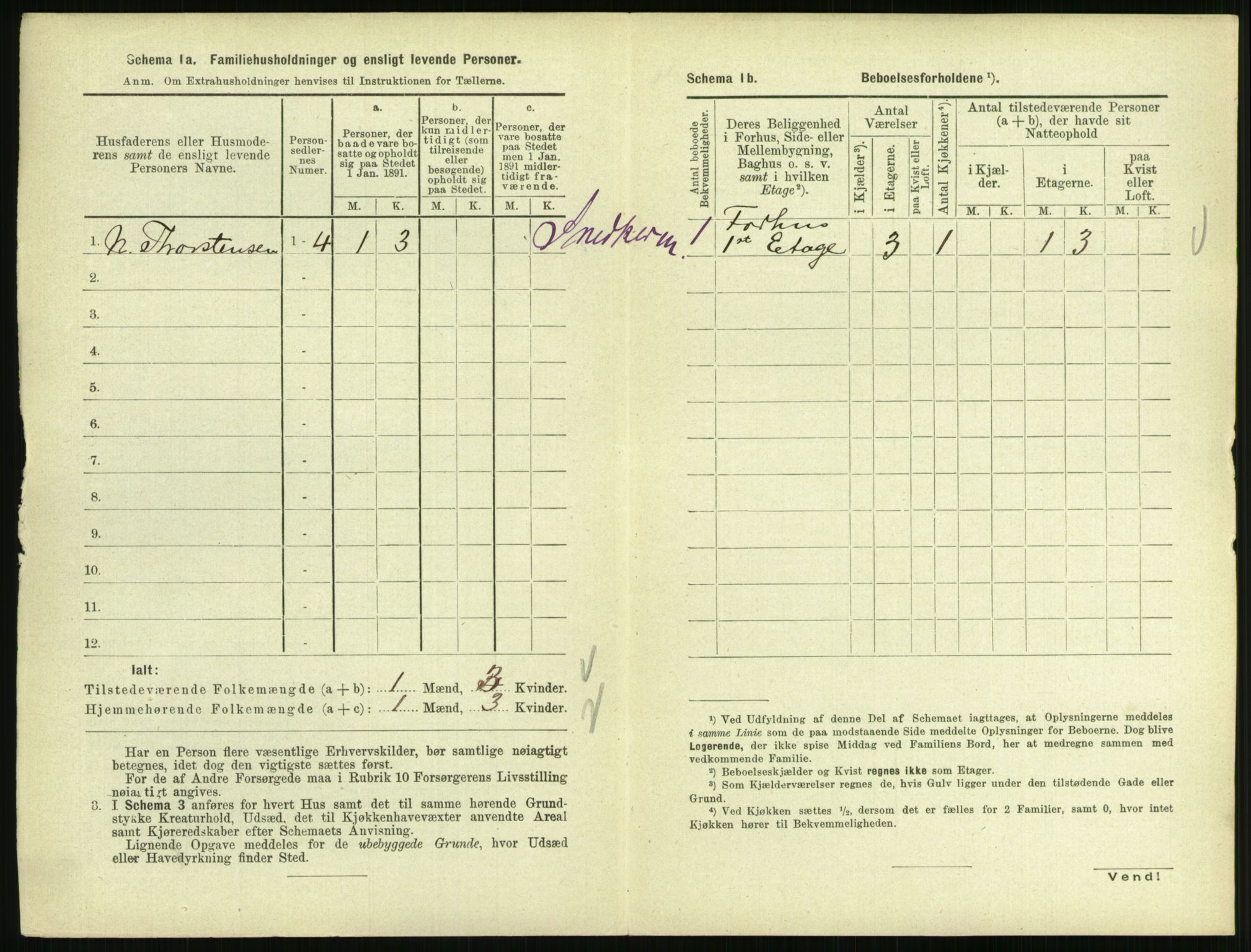 RA, 1891 census for 0805 Porsgrunn, 1891, p. 1002