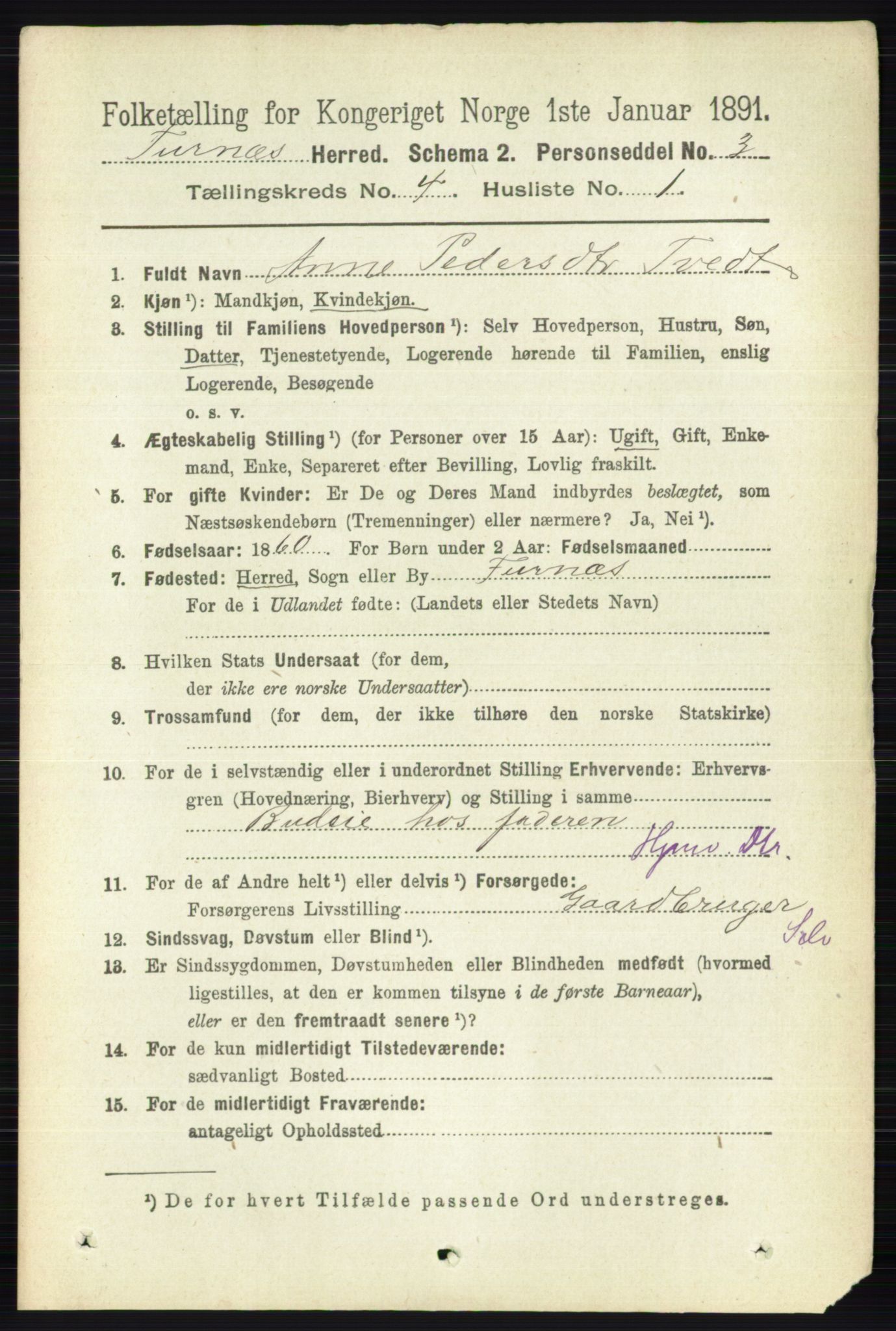 RA, Census 1891 for 0413 Furnes herred, 1891, p. 2462