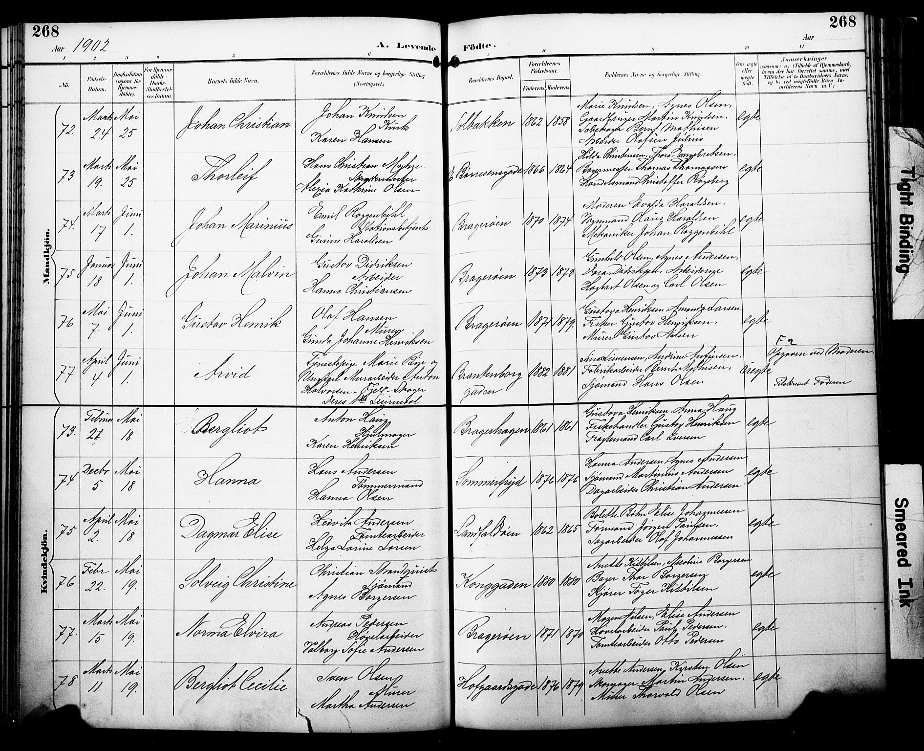 Bragernes kirkebøker, AV/SAKO-A-6/F/Fb/L0008: Parish register (official) no. II 8, 1894-1902, p. 268