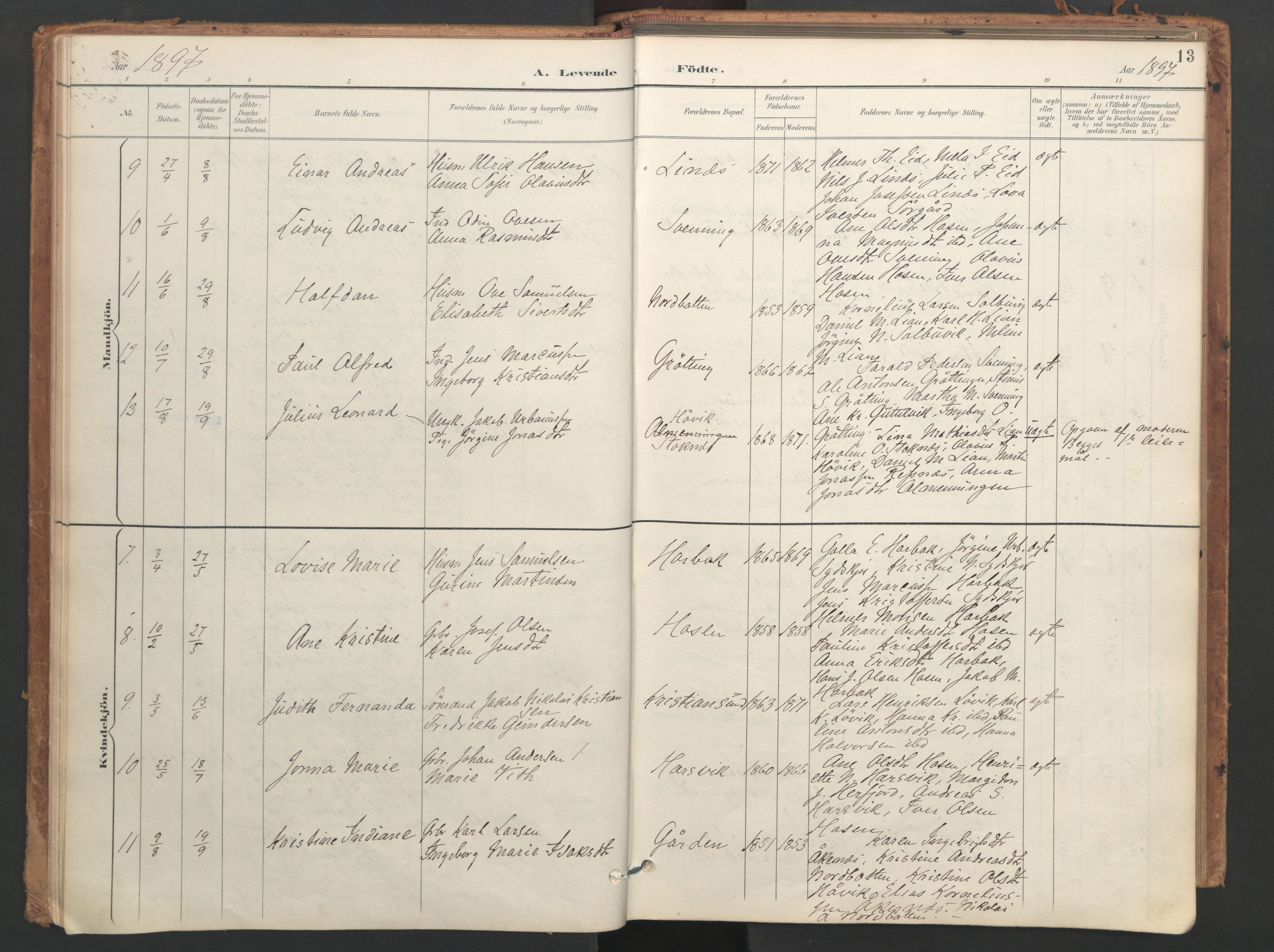 Ministerialprotokoller, klokkerbøker og fødselsregistre - Sør-Trøndelag, SAT/A-1456/656/L0693: Parish register (official) no. 656A02, 1894-1913, p. 13