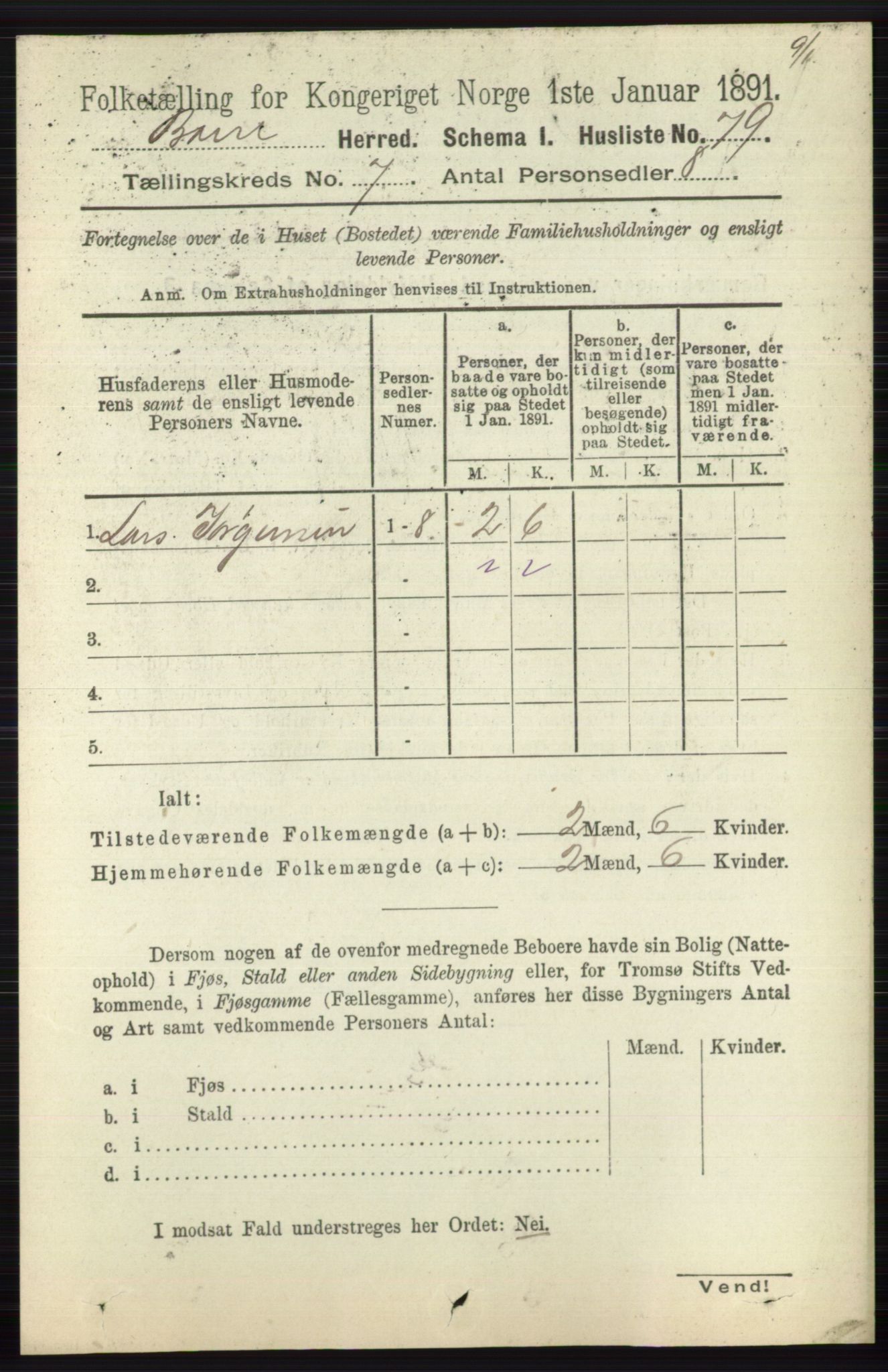 RA, 1891 census for 0717 Borre, 1891, p. 3215