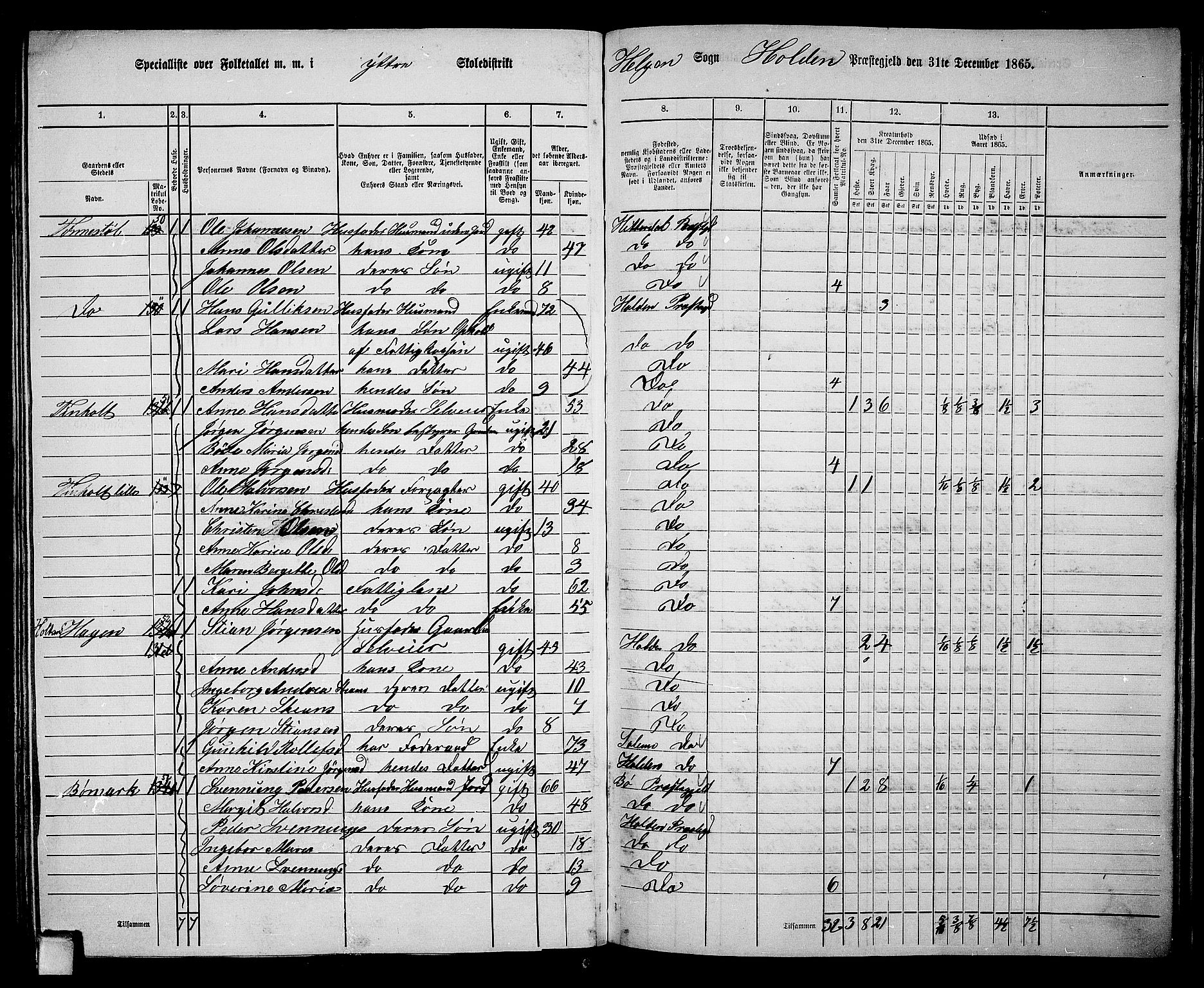 RA, 1865 census for Holla, 1865, p. 115
