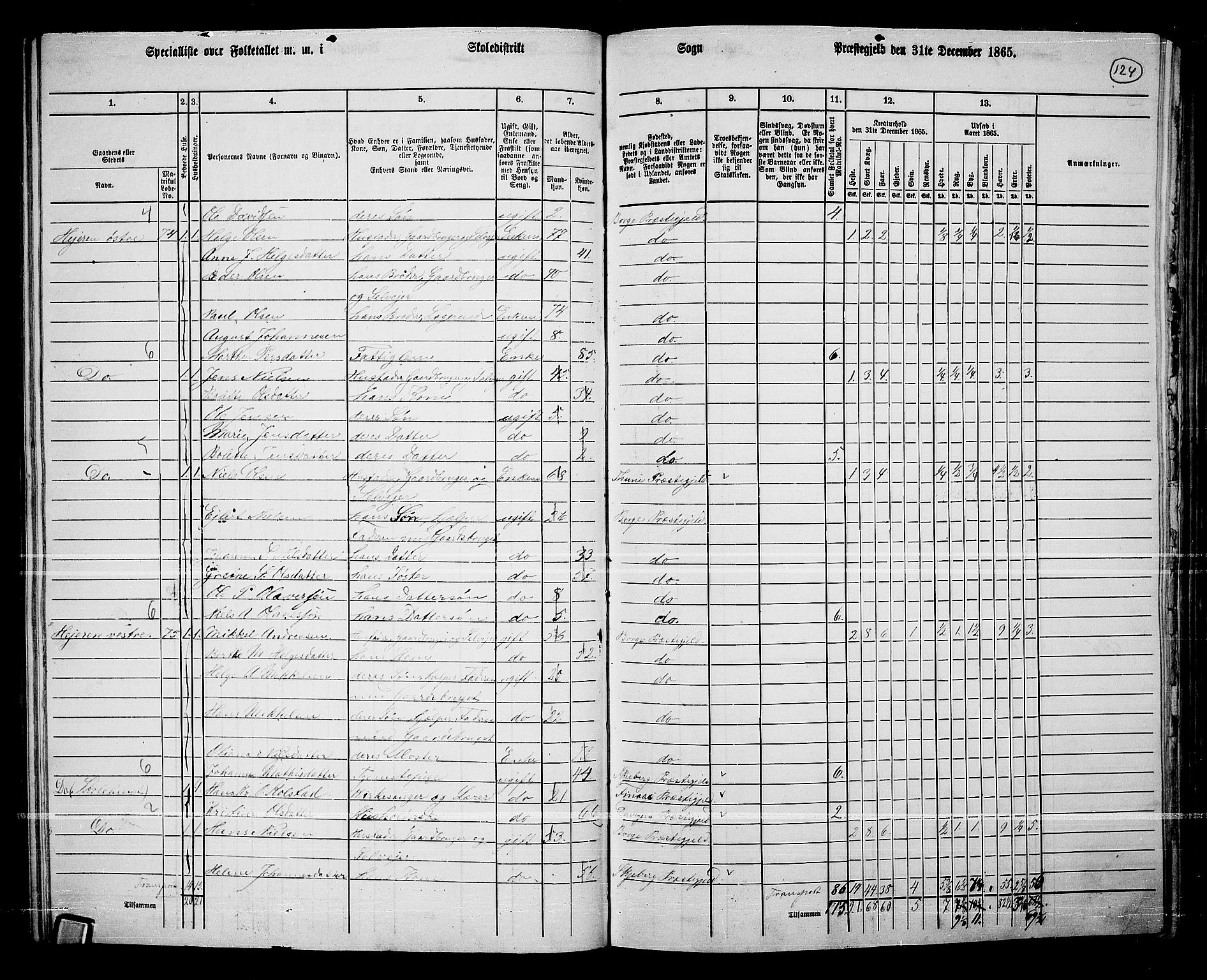 RA, 1865 census for Borge, 1865, p. 113