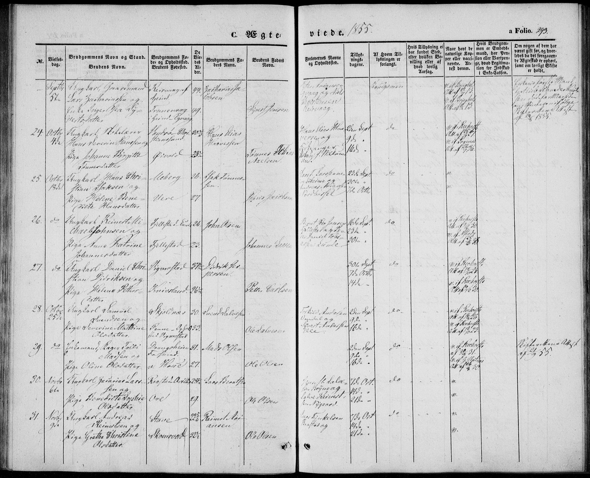 Lista sokneprestkontor, AV/SAK-1111-0027/F/Fb/L0002: Parish register (copy) no. B 2, 1847-1862, p. 293