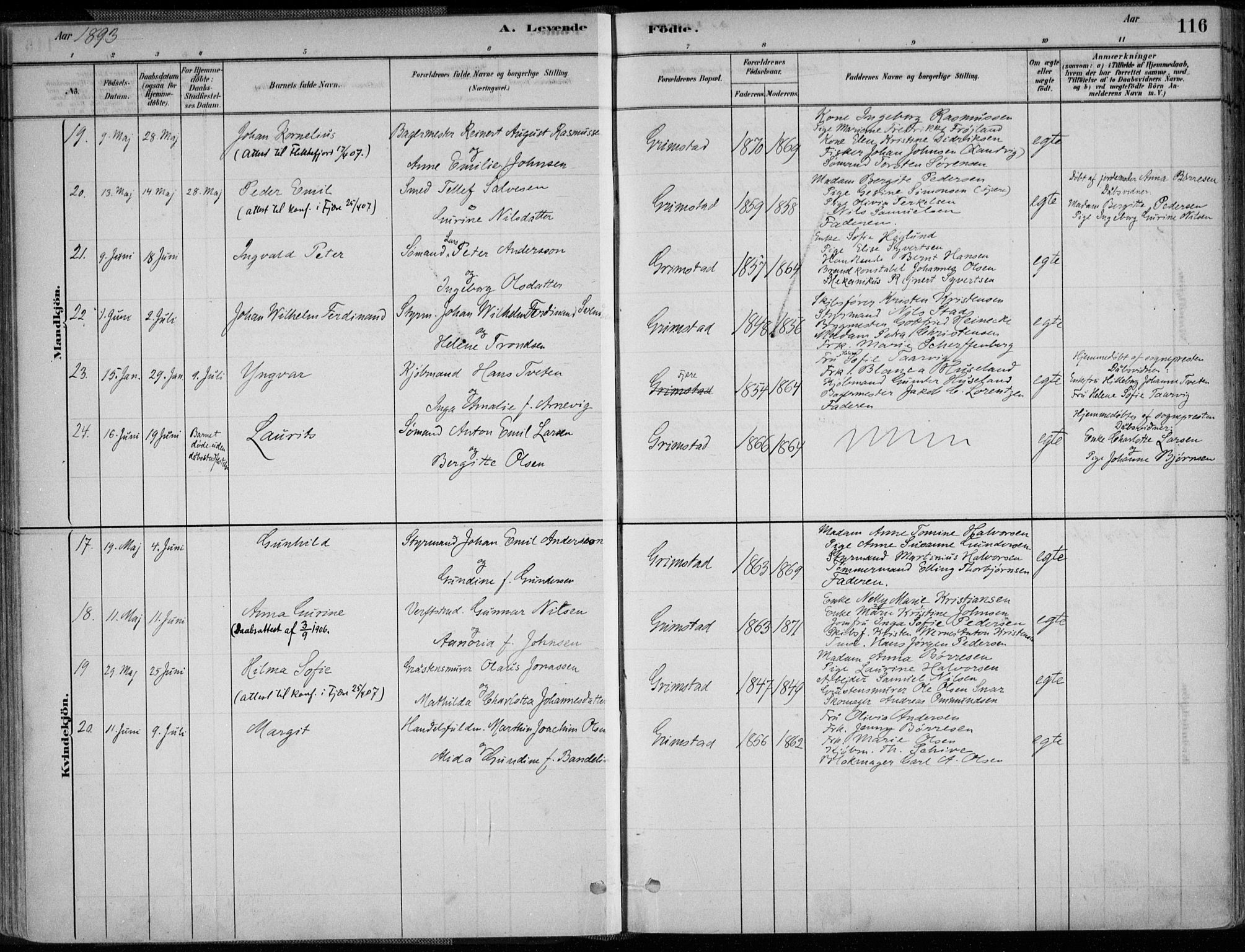 Grimstad sokneprestkontor, AV/SAK-1111-0017/F/Fa/L0003: Parish register (official) no. A 2, 1882-1912, p. 116