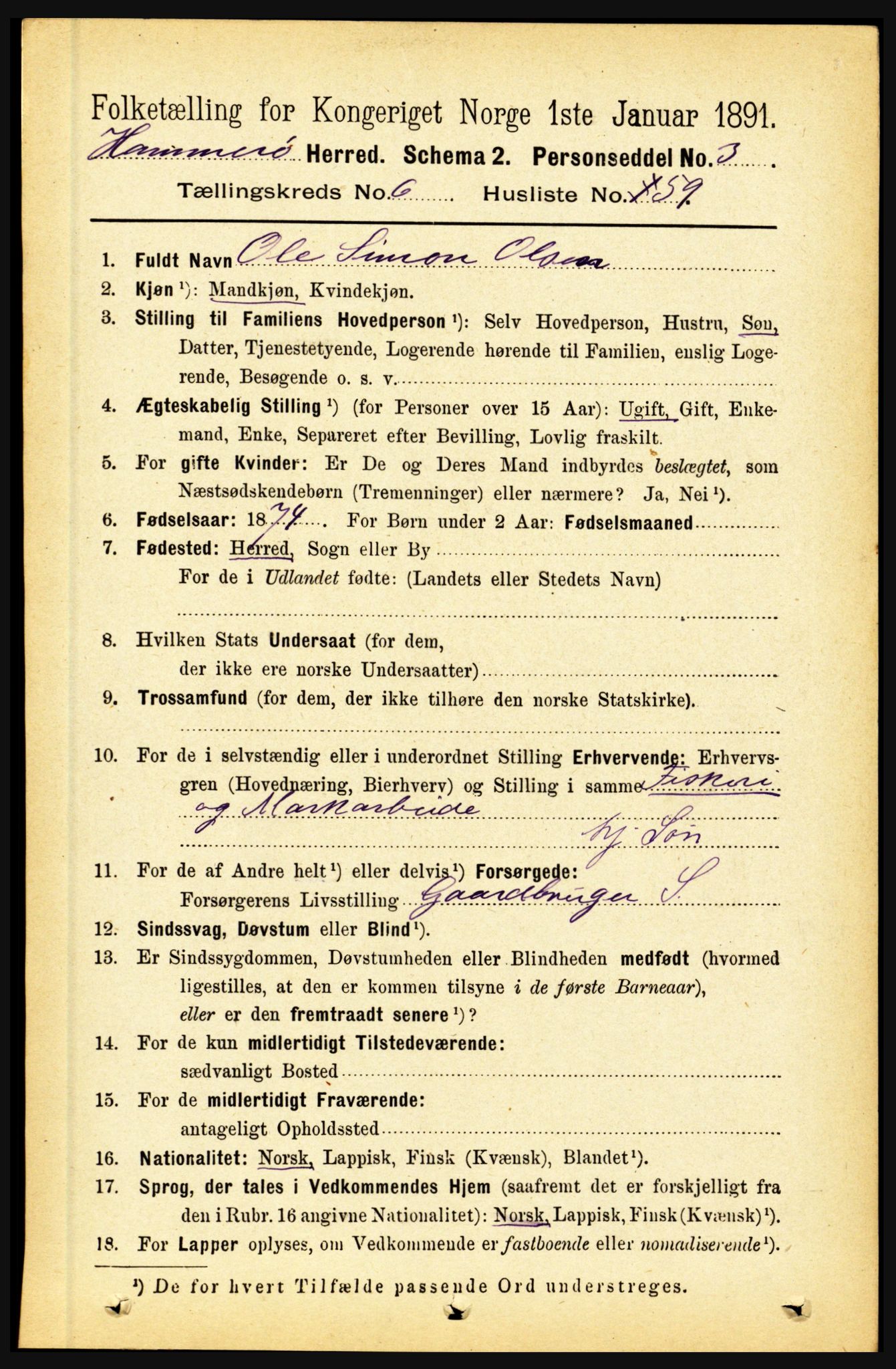 RA, 1891 census for 1849 Hamarøy, 1891, p. 3356