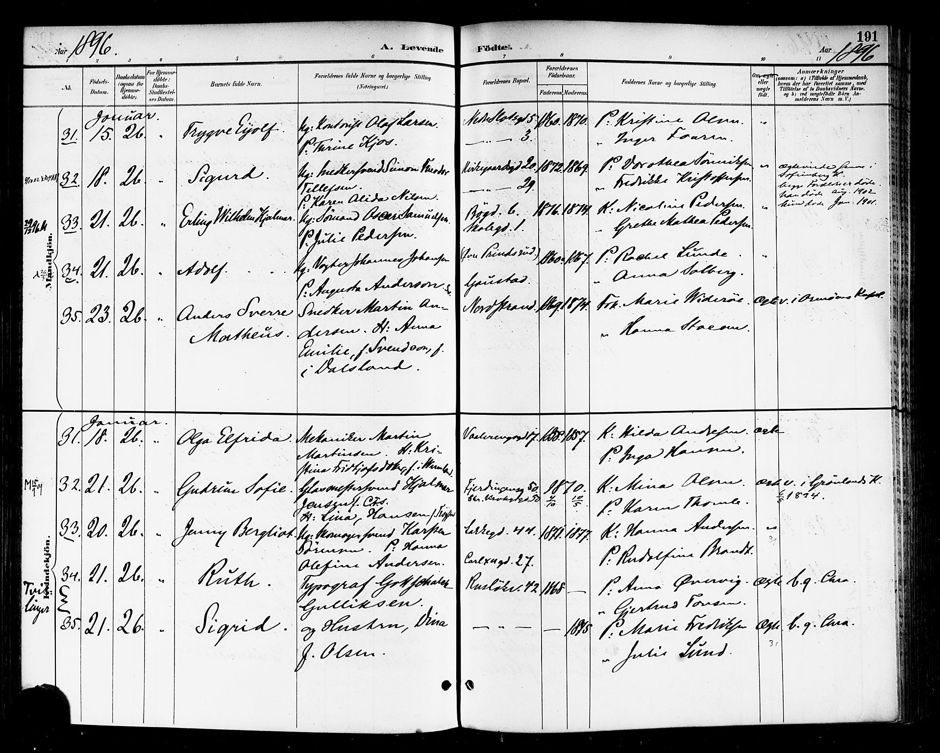 Rikshospitalet prestekontor Kirkebøker, AV/SAO-A-10309b/F/L0009: Parish register (official) no. 9, 1894-1897, p. 191