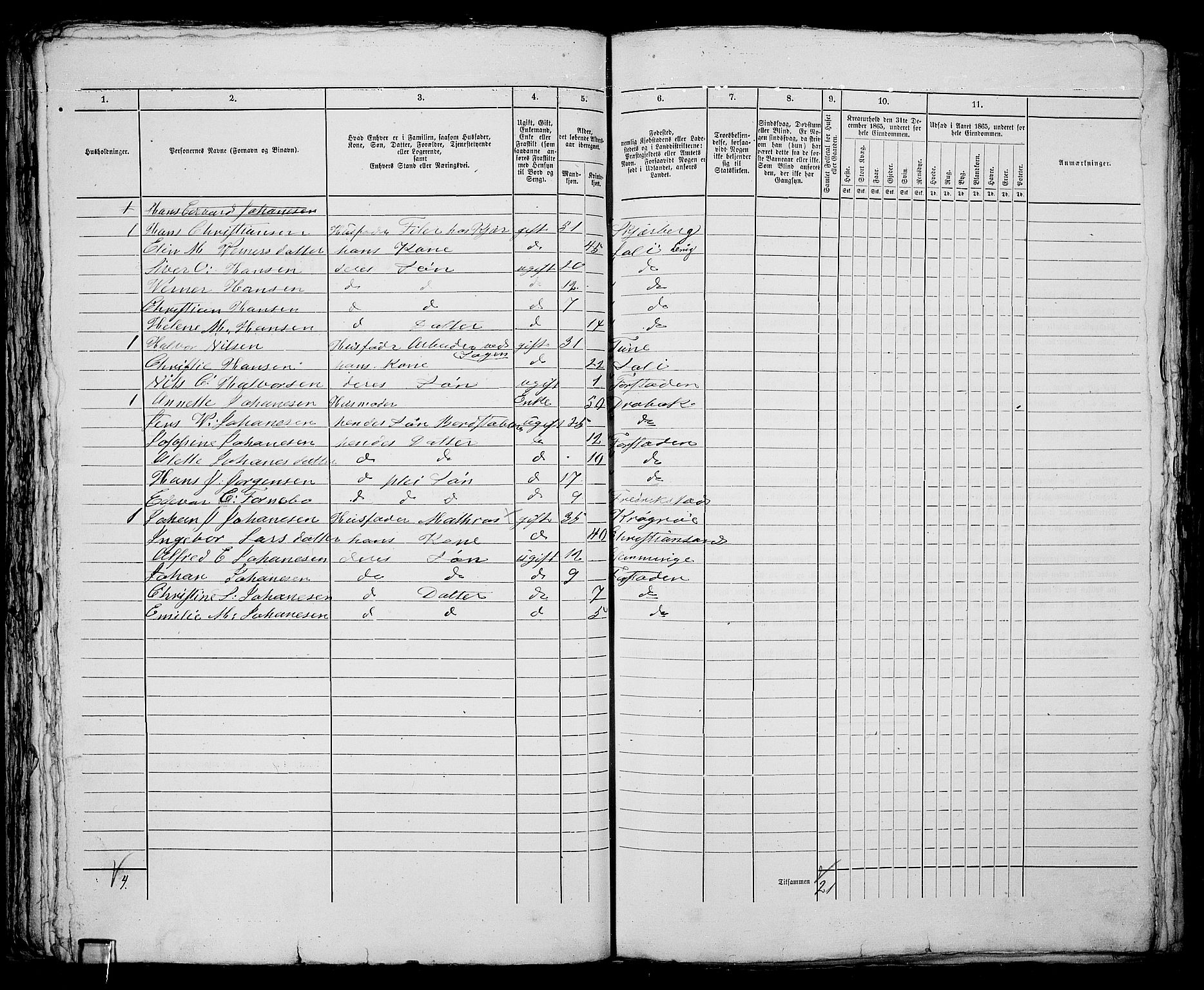 RA, 1865 census for Fredrikstad/Fredrikstad, 1865, p. 509