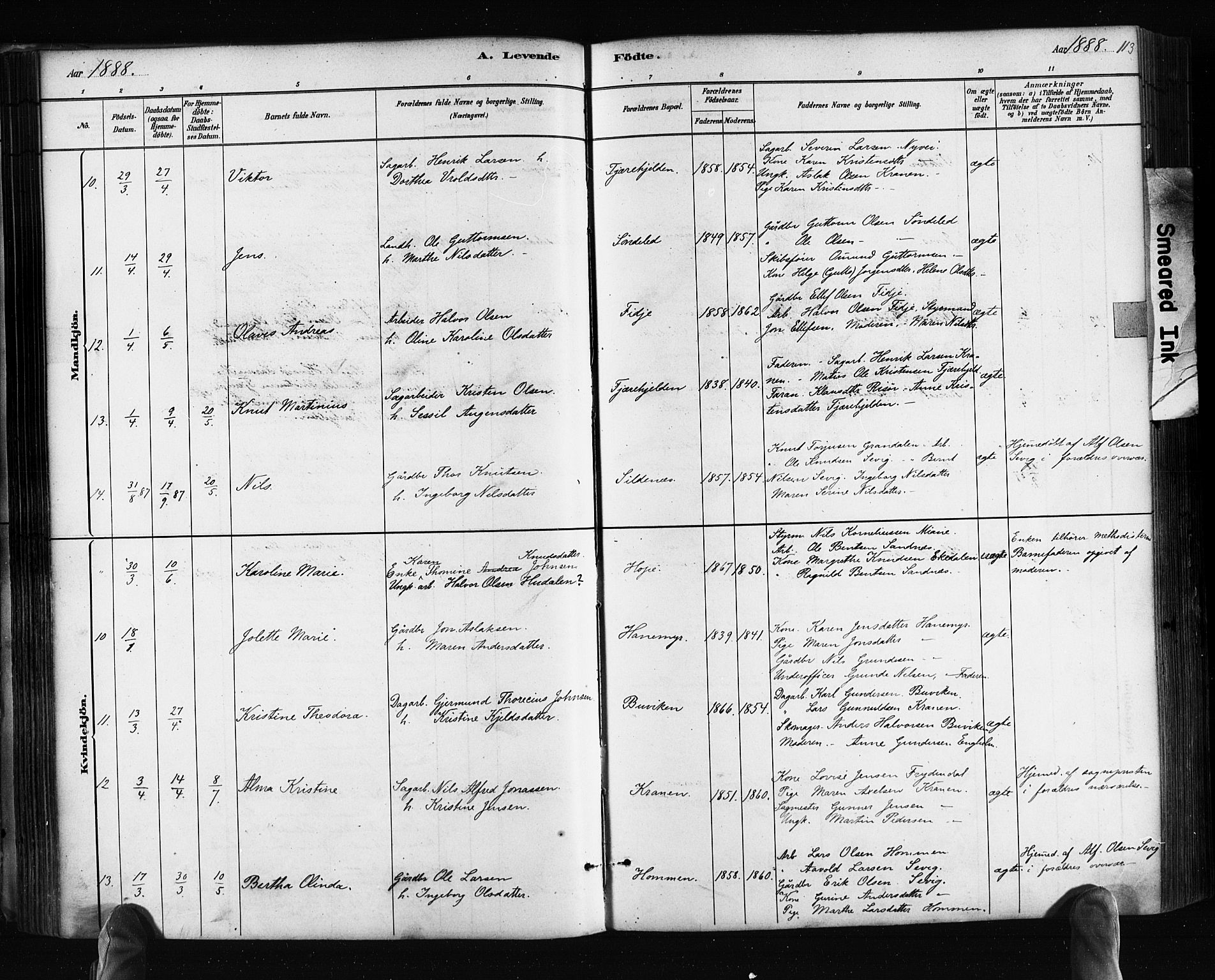 Søndeled sokneprestkontor, AV/SAK-1111-0038/F/Fa/L0004: Parish register (official) no. A 4, 1880-1889, p. 113