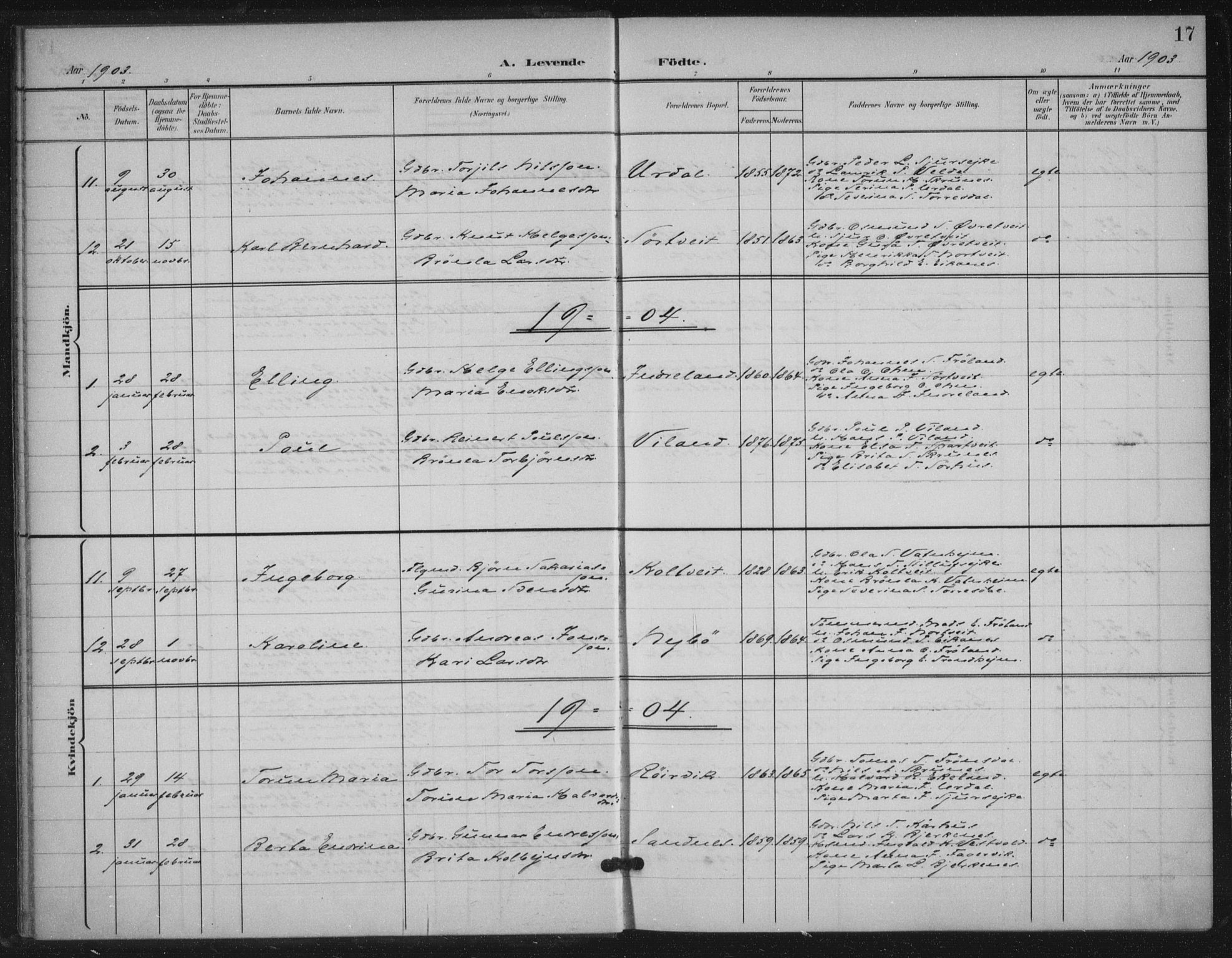 Skjold sokneprestkontor, SAST/A-101847/H/Ha/Haa/L0012: Parish register (official) no. A 12, 1899-1915, p. 17