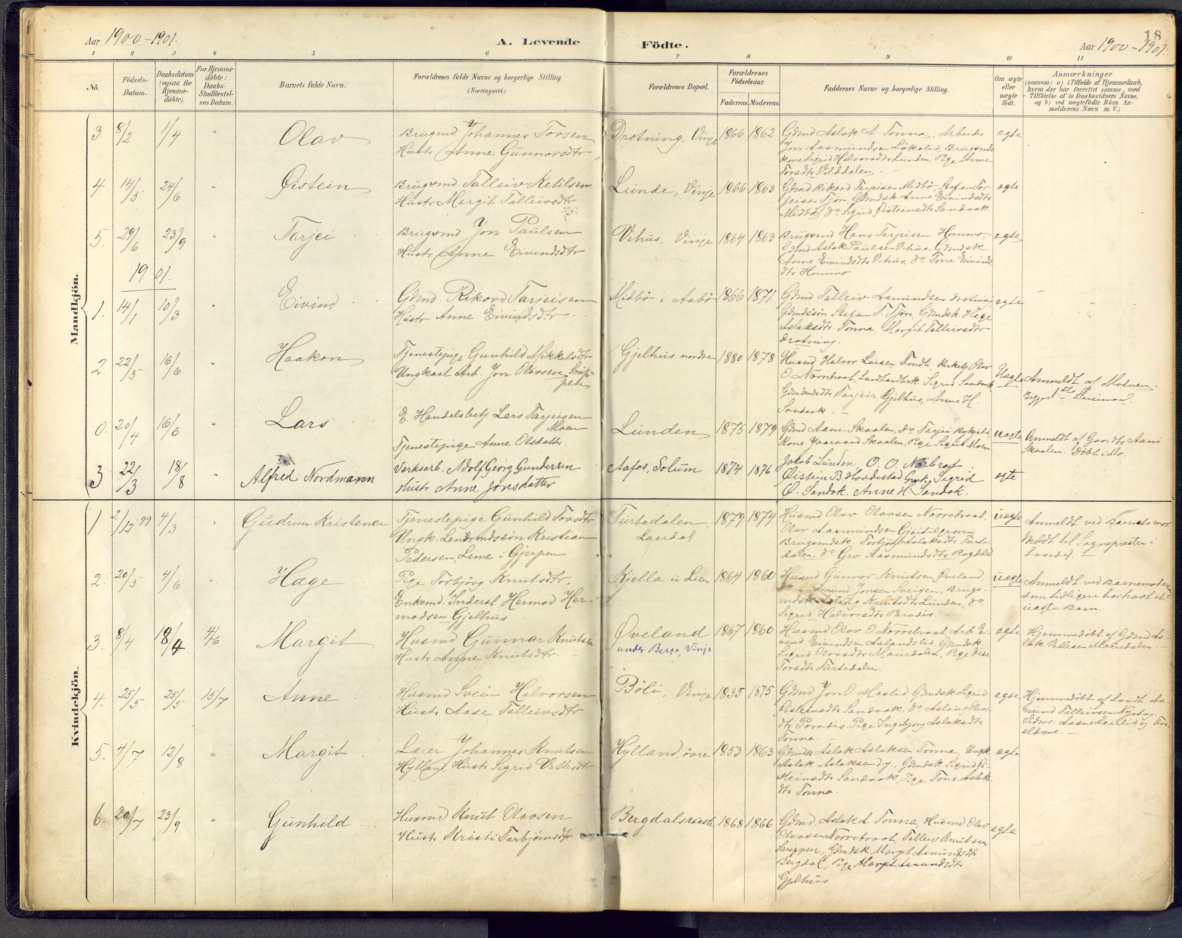Vinje kirkebøker, SAKO/A-312/F/Fb/L0002: Parish register (official) no. II 2, 1887-1925, p. 18