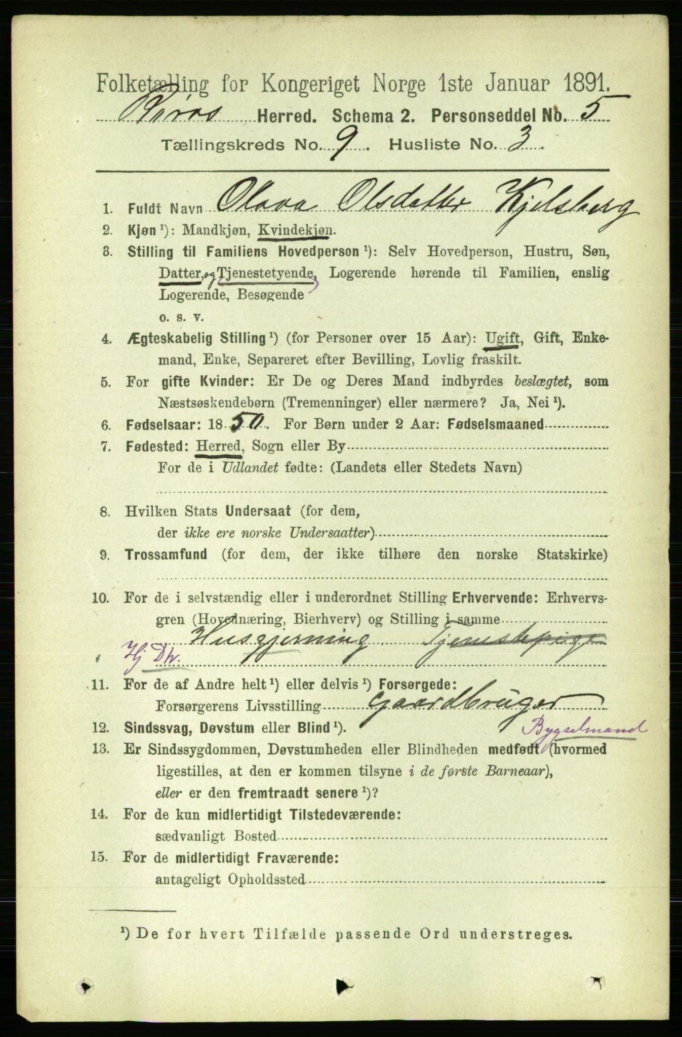 RA, 1891 census for 1640 Røros, 1891, p. 1831