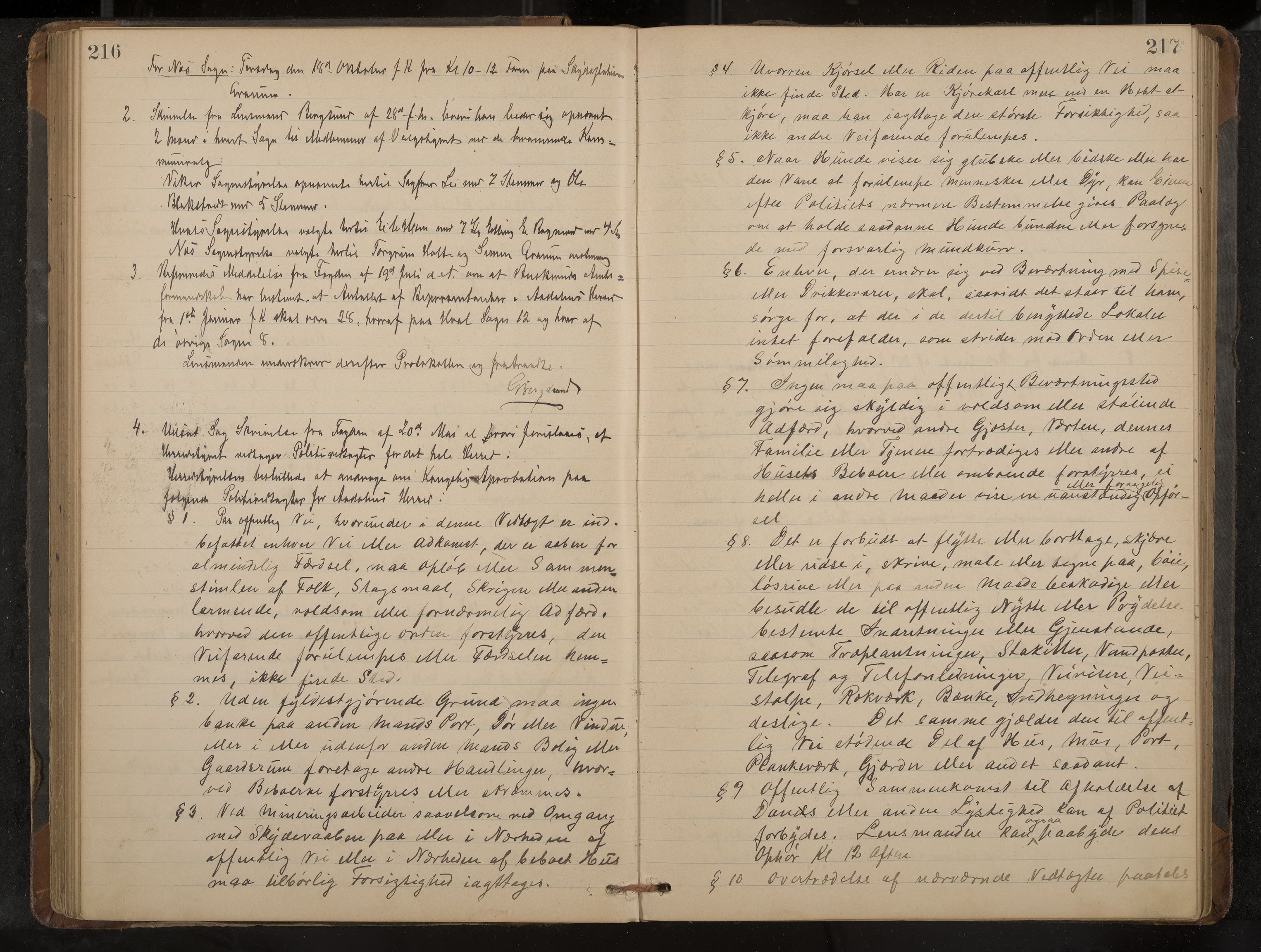 Ådal formannskap og sentraladministrasjon, IKAK/0614021/A/Aa/L0002: Møtebok, 1891-1907, p. 216-217