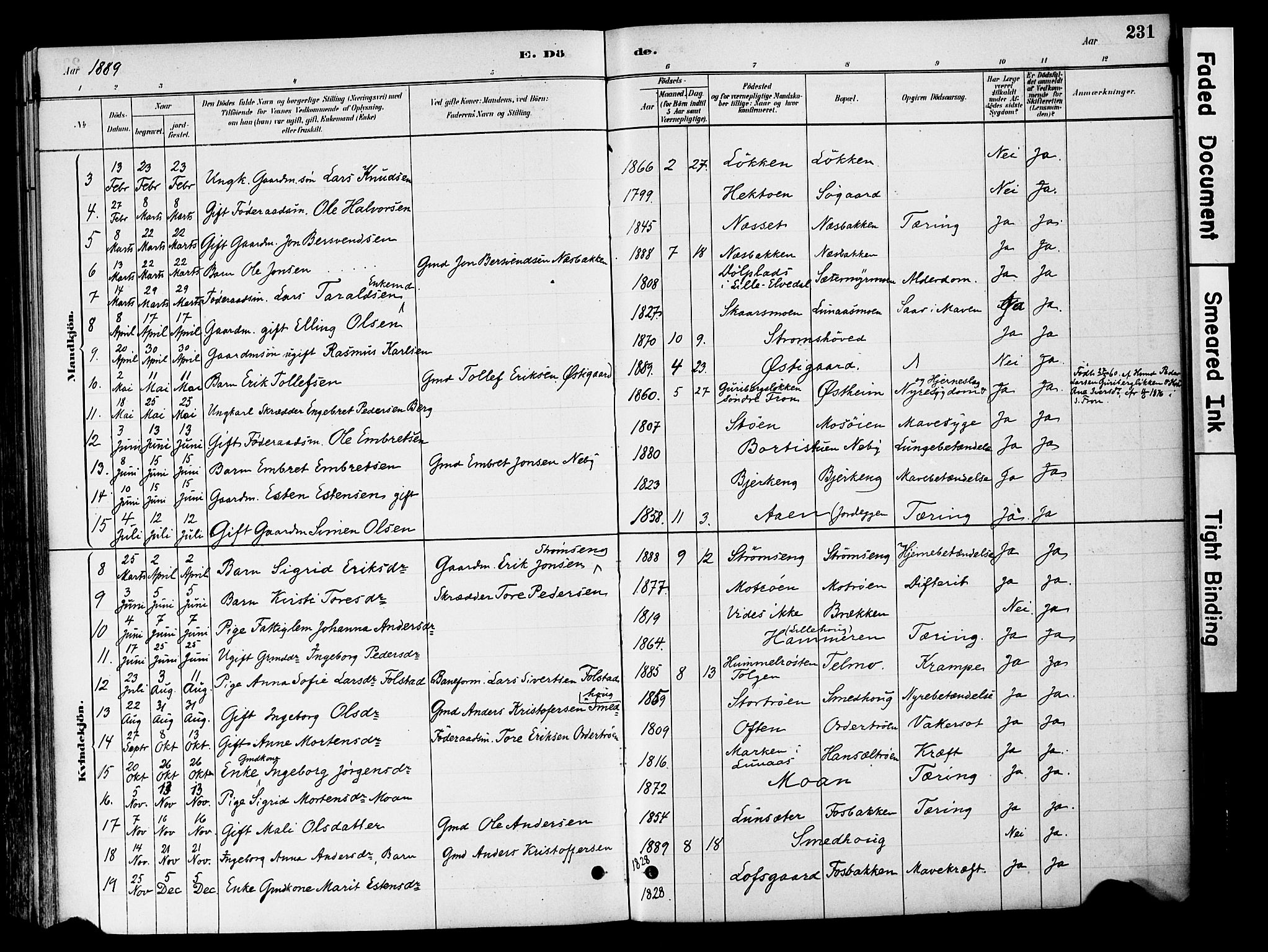 Tynset prestekontor, AV/SAH-PREST-058/H/Ha/Haa/L0022: Parish register (official) no. 22, 1880-1899, p. 231