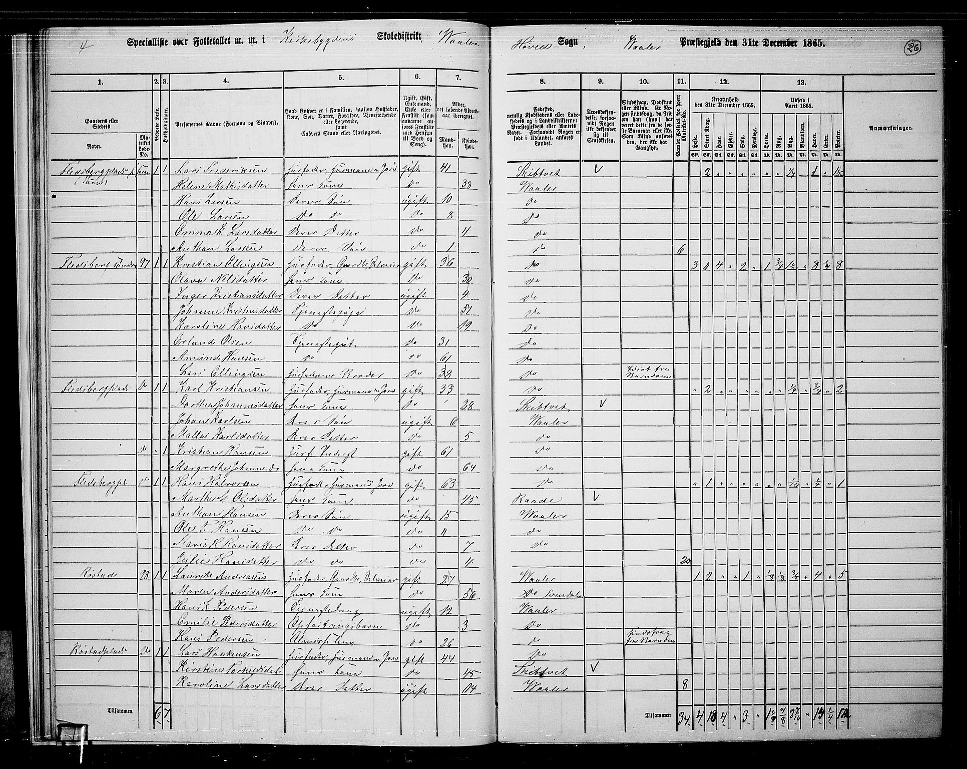 RA, 1865 census for Våler, 1865, p. 27