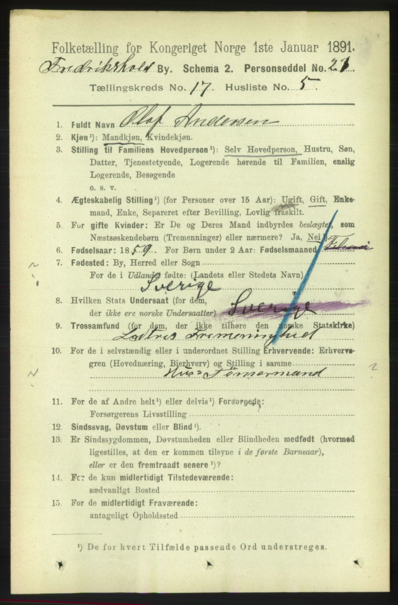 RA, 1891 census for 0101 Fredrikshald, 1891, p. 10905