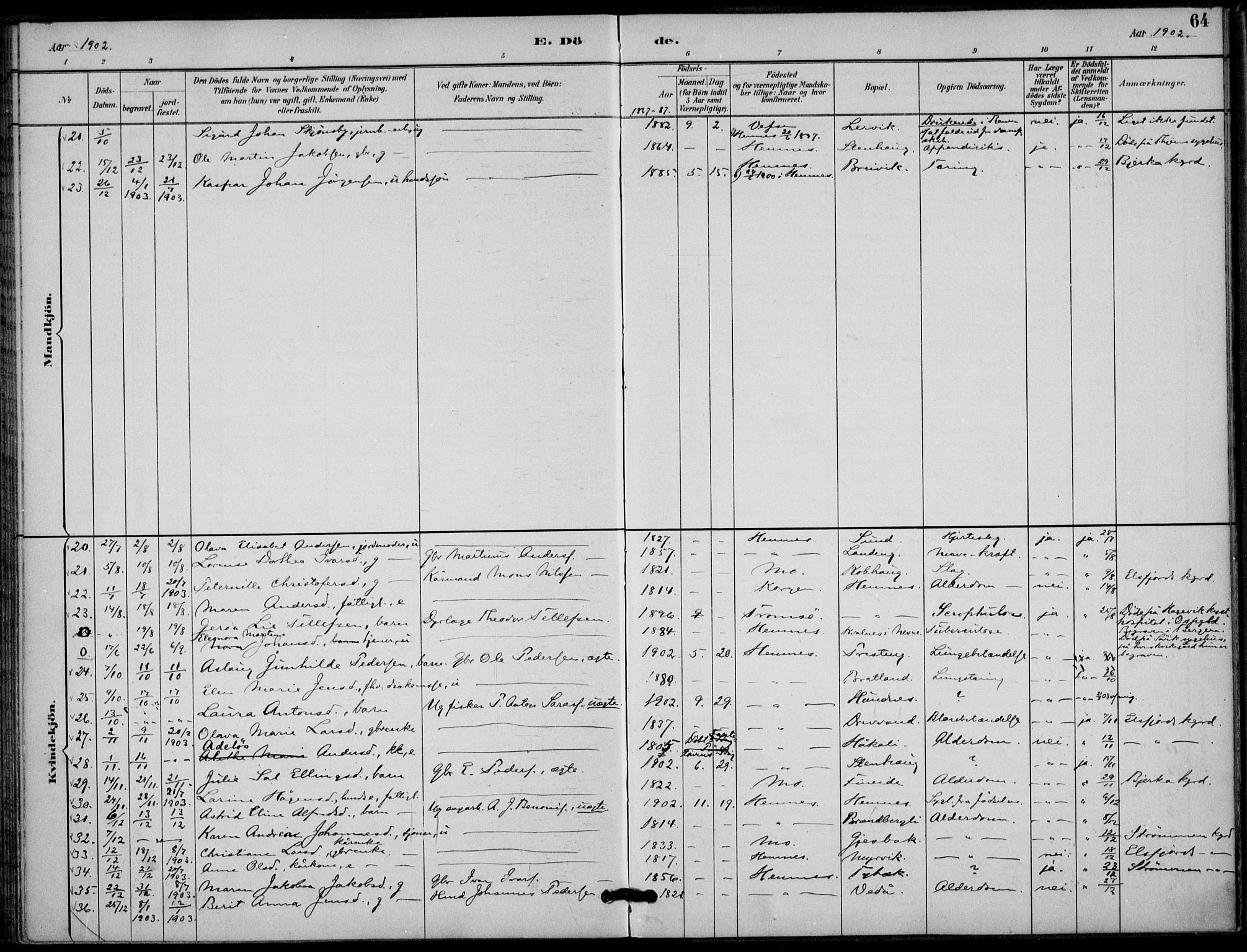 Ministerialprotokoller, klokkerbøker og fødselsregistre - Nordland, AV/SAT-A-1459/825/L0363: Parish register (official) no. 825A17, 1890-1909, p. 64