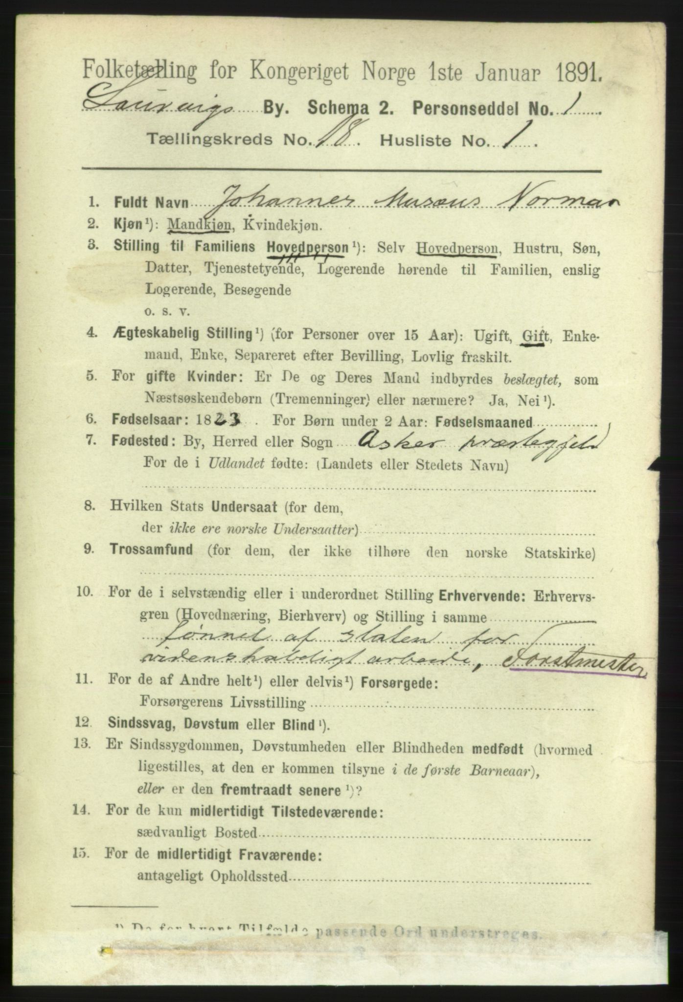 RA, 1891 census for 0707 Larvik, 1891, p. 13094