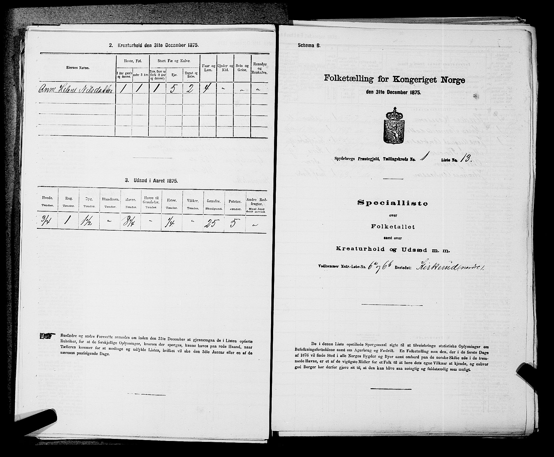 RA, 1875 census for 0123P Spydeberg, 1875, p. 61