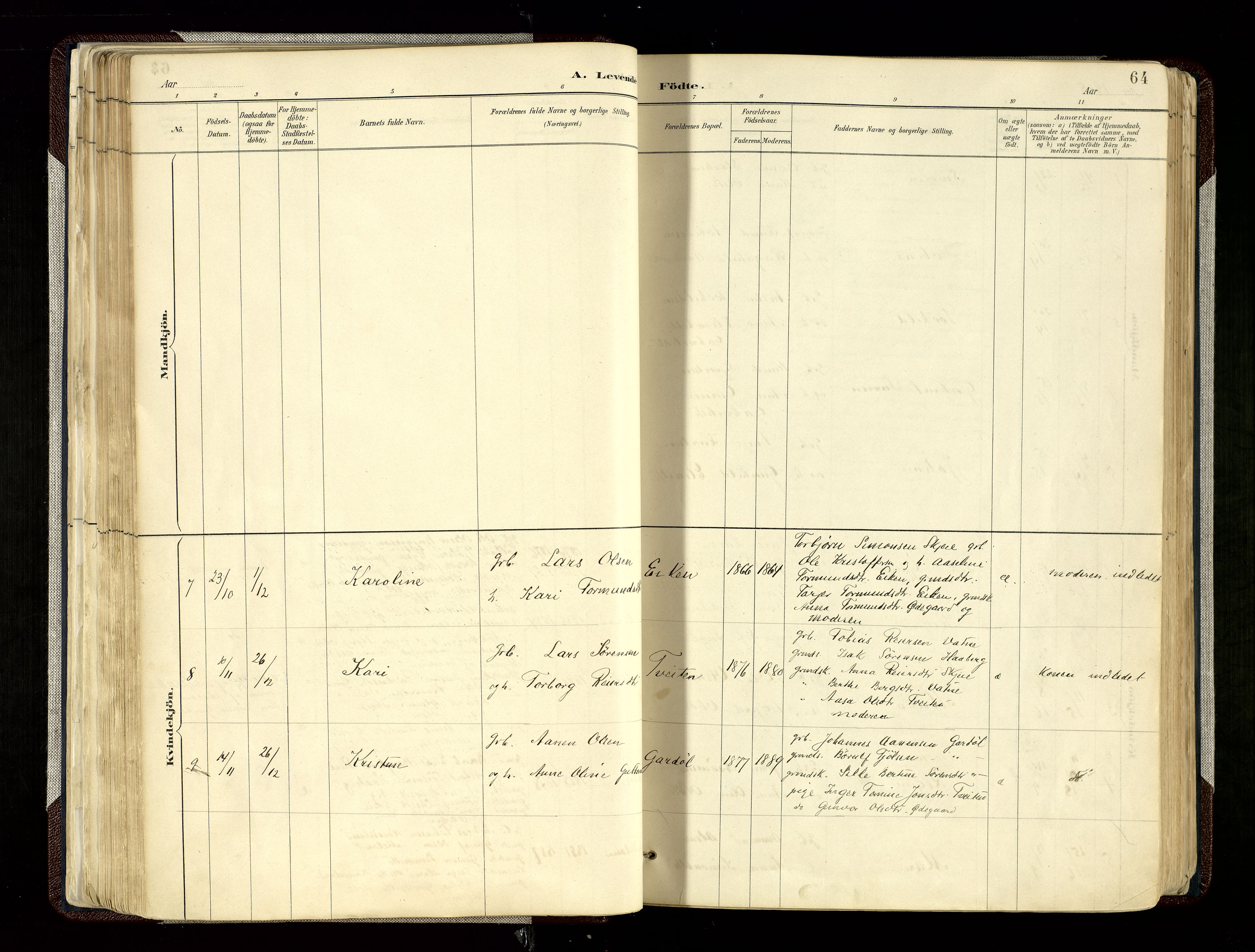 Hægebostad sokneprestkontor, SAK/1111-0024/F/Fa/Fab/L0004: Parish register (official) no. A 4, 1887-1929, p. 64