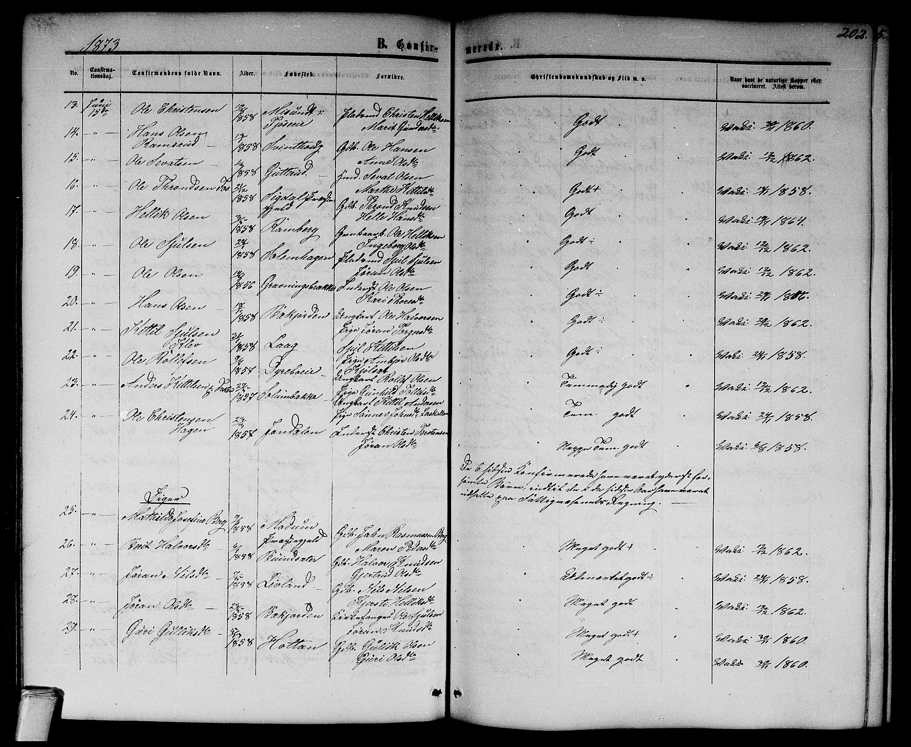 Flesberg kirkebøker, AV/SAKO-A-18/G/Ga/L0003: Parish register (copy) no. I 3, 1861-1889, p. 202