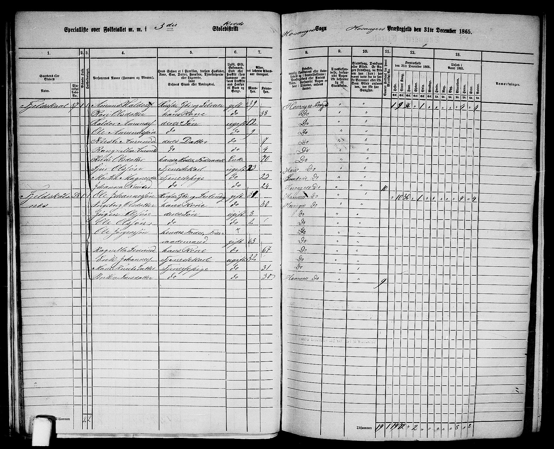 RA, 1865 census for Hosanger, 1865, p. 29