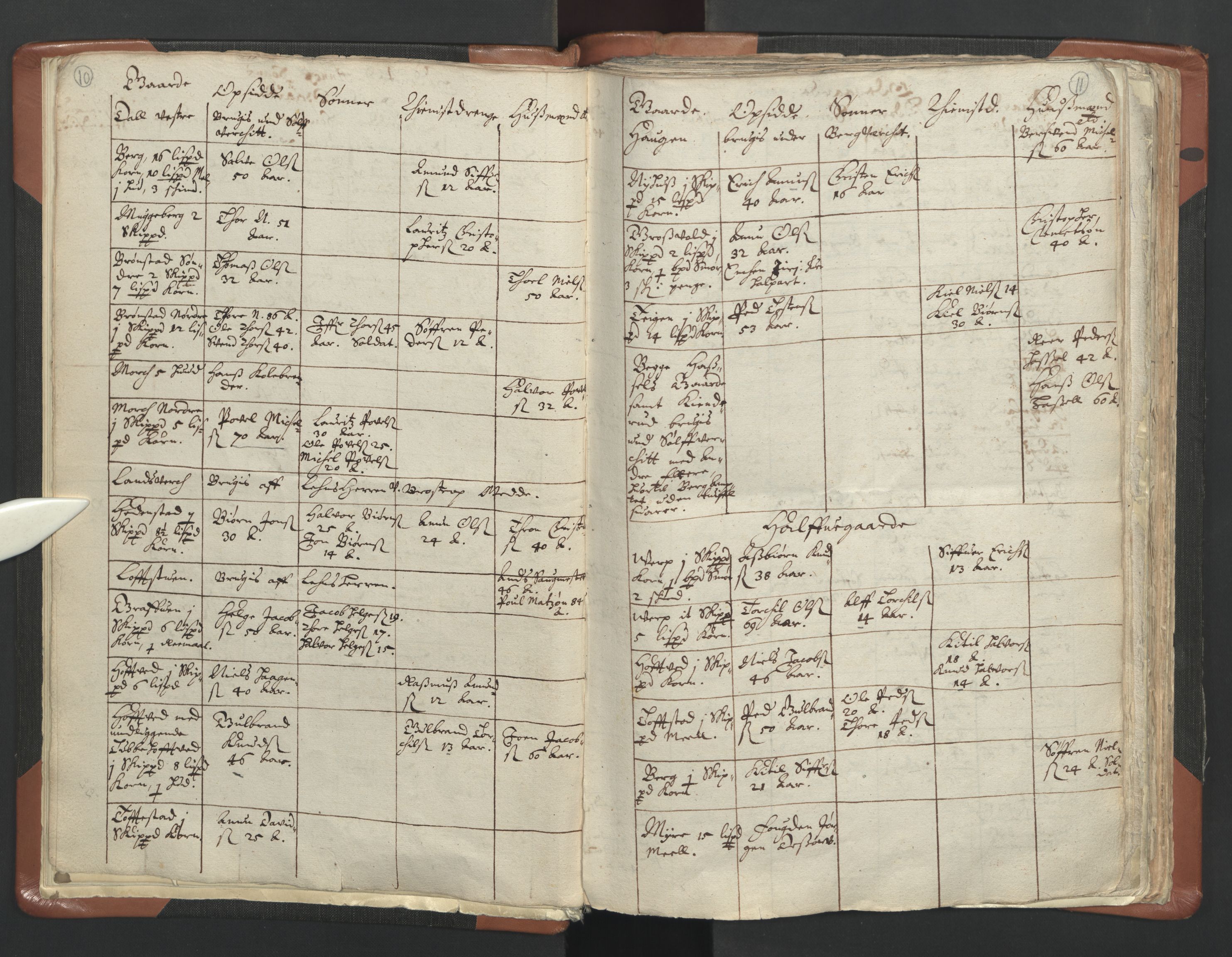 RA, Vicar's Census 1664-1666, no. 10: Tønsberg deanery, 1664-1666, p. 10-11
