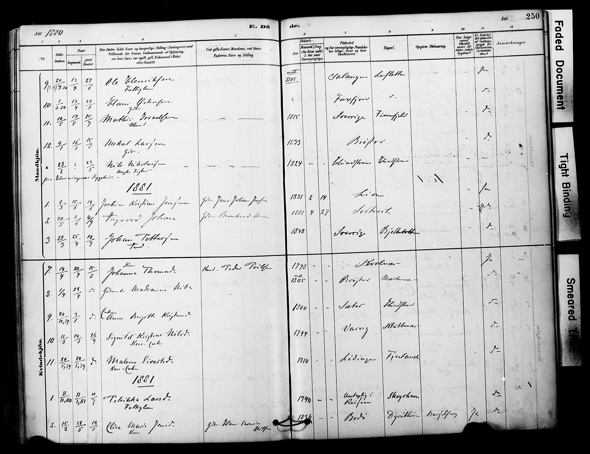 Tranøy sokneprestkontor, SATØ/S-1313/I/Ia/Iaa/L0011kirke: Parish register (official) no. 11, 1878-1904, p. 250